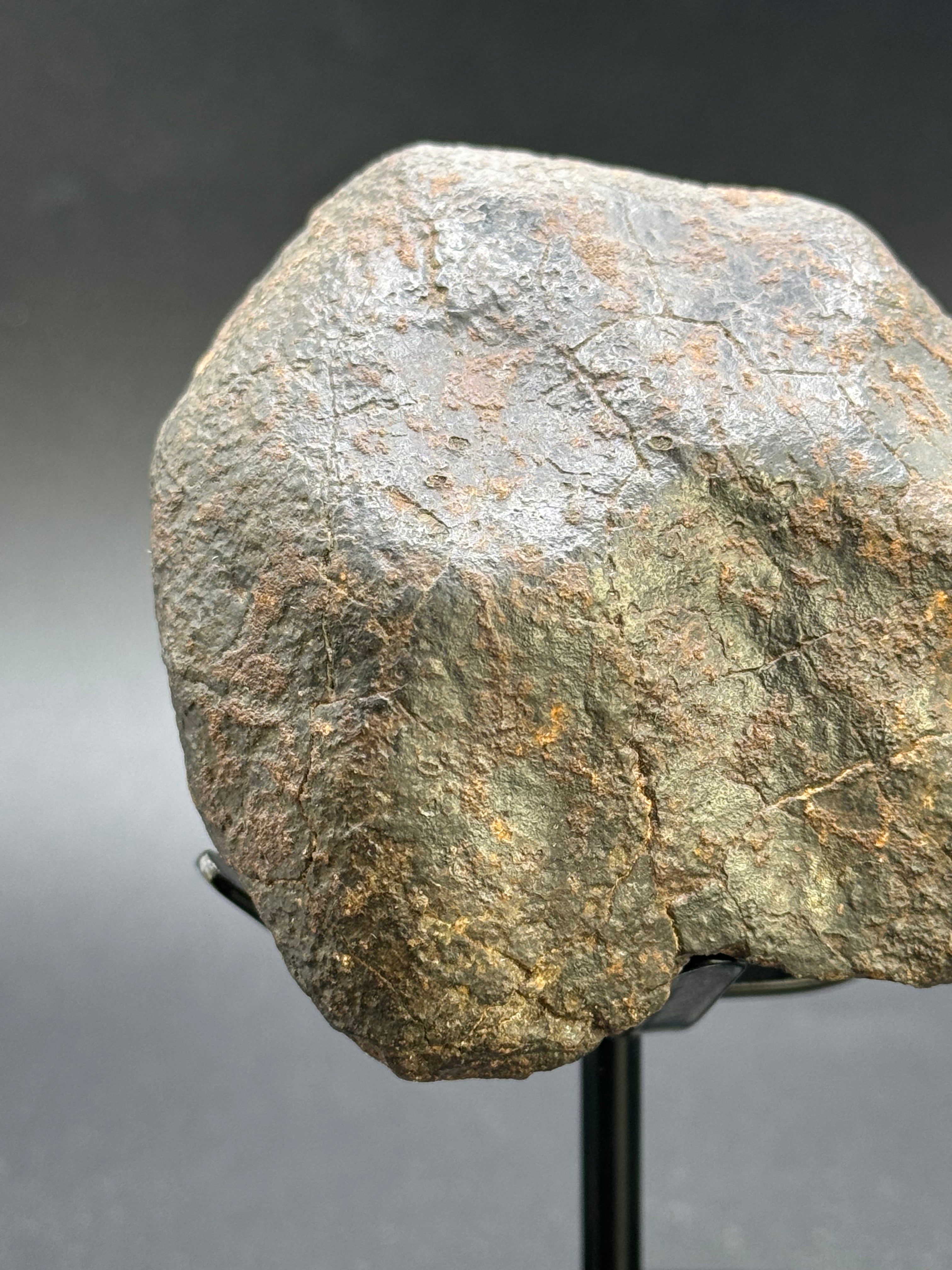 CHONDRITE METEORITE, NORTH WEST AFRICA. 437 GRAMS.