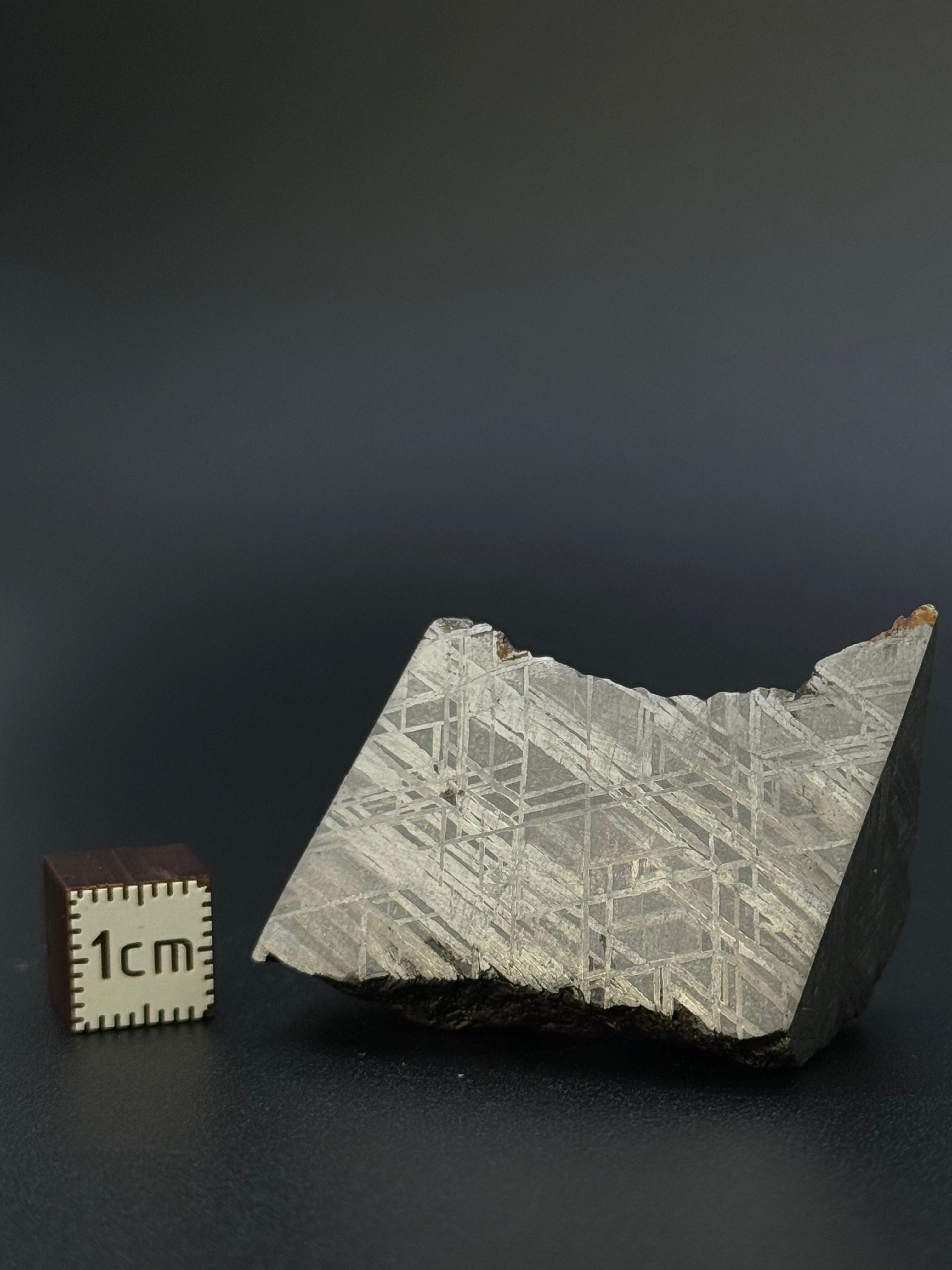 MUONIONALUSTA METEORITE, SWEDEN. 82,04 GRAMS CHUNK.