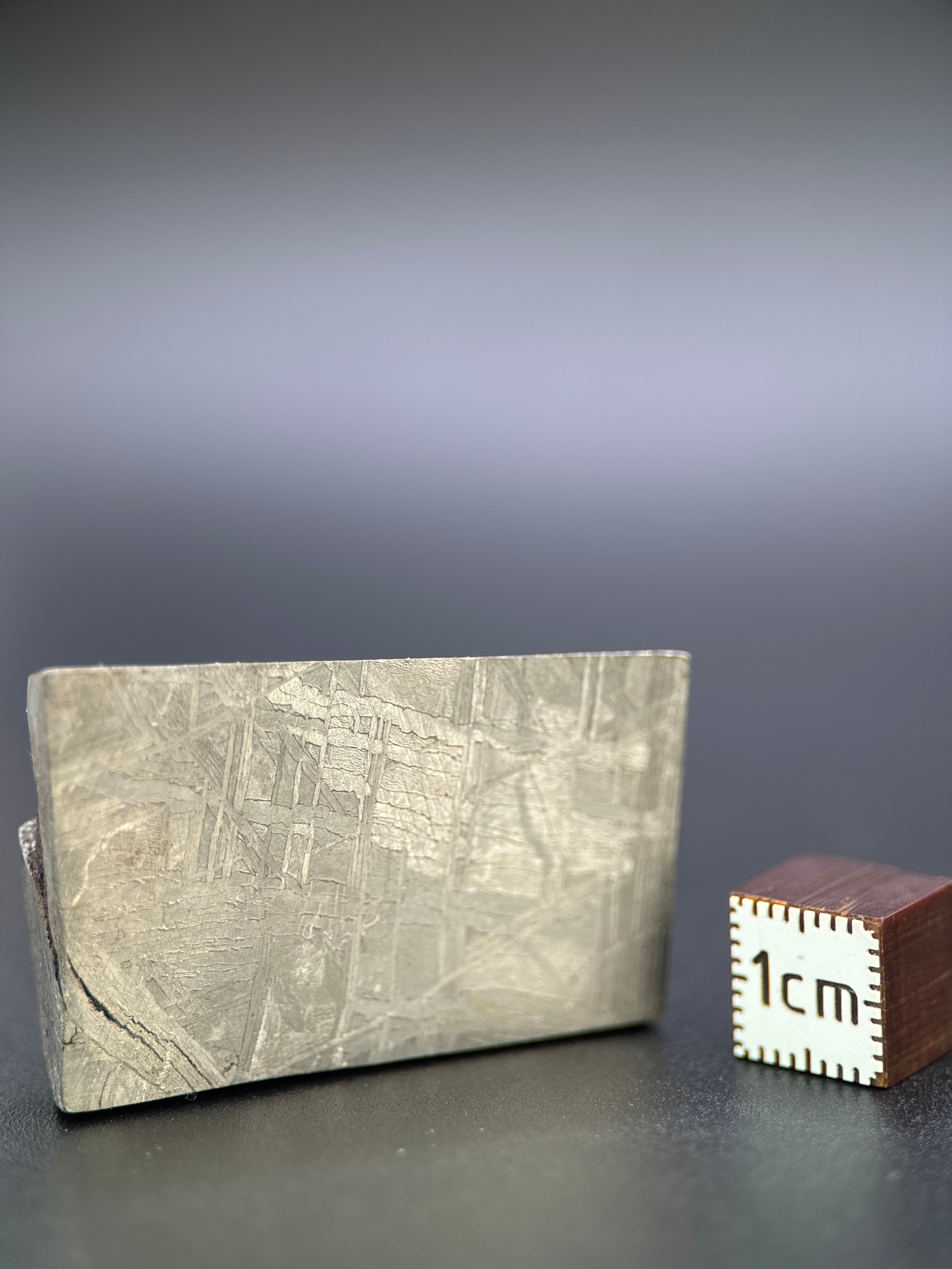 MUONIONALUSTA METEORITE, SWEDEN. 78,68 GRAMS END-CUT