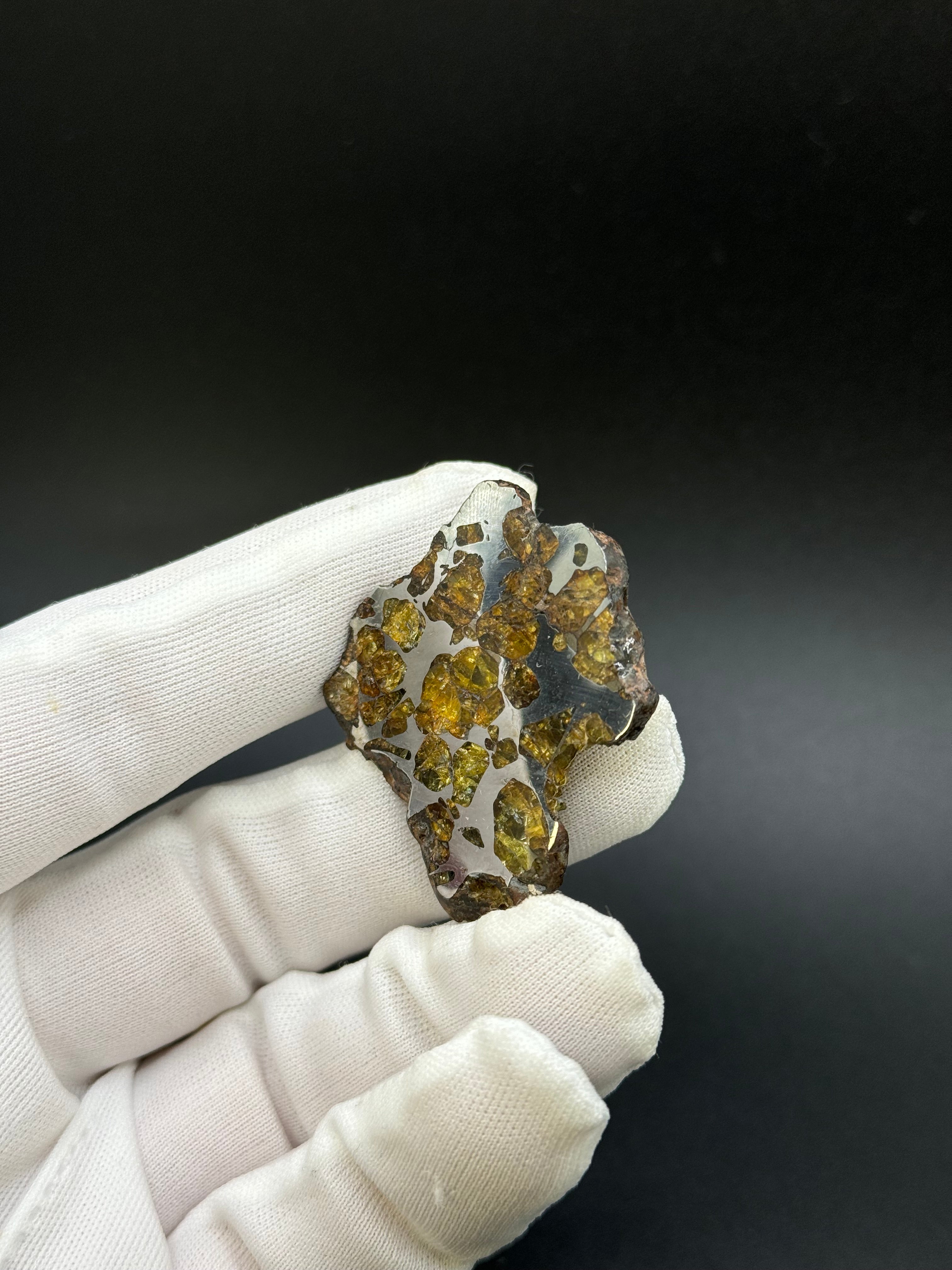IMILAC PALLASITE METEORITE, CHILE. 15,06 GRAMS slice