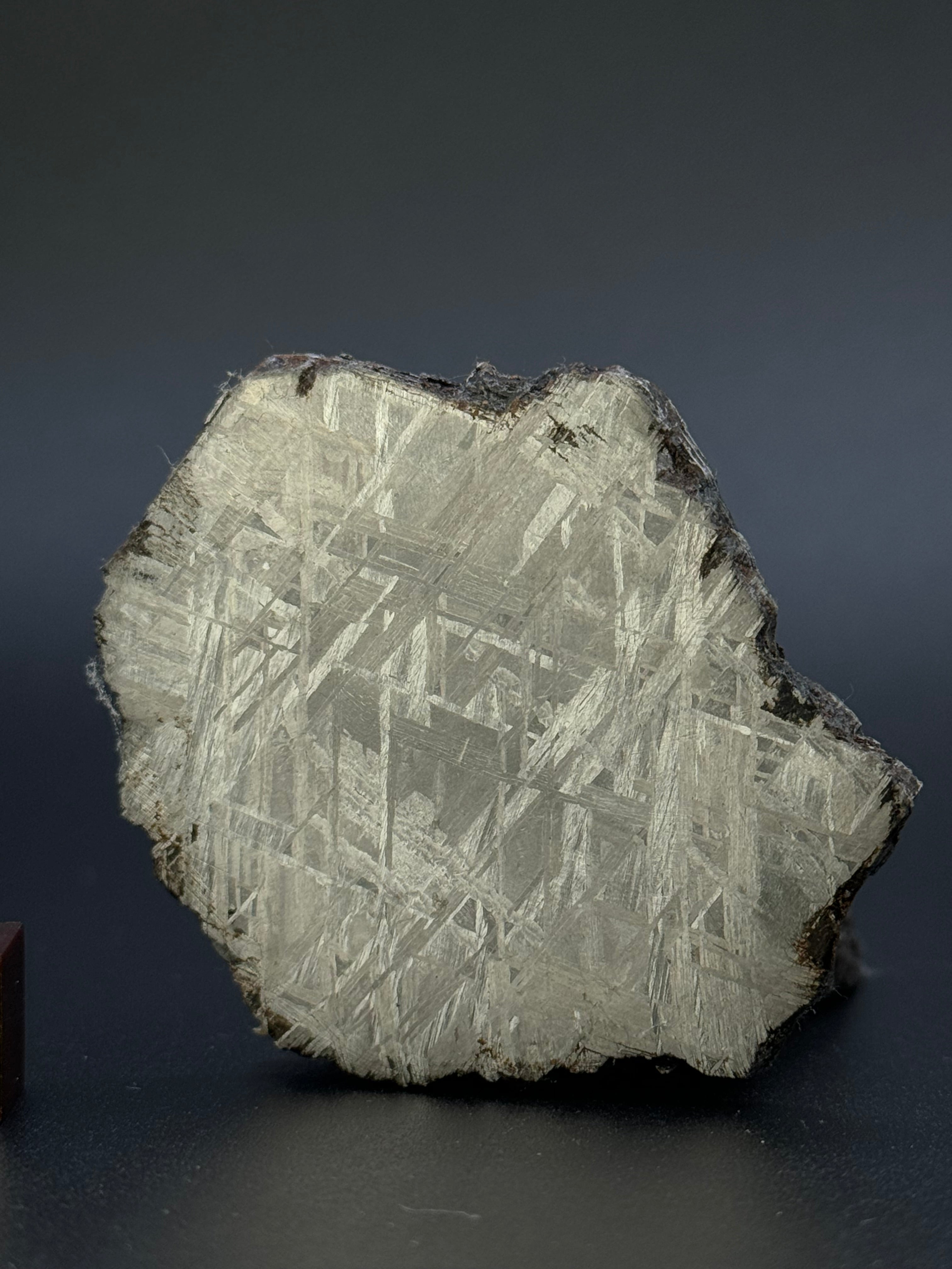 MUONIONALUSTA METEORITE, SWEDEN. 46,38 GRAMS.