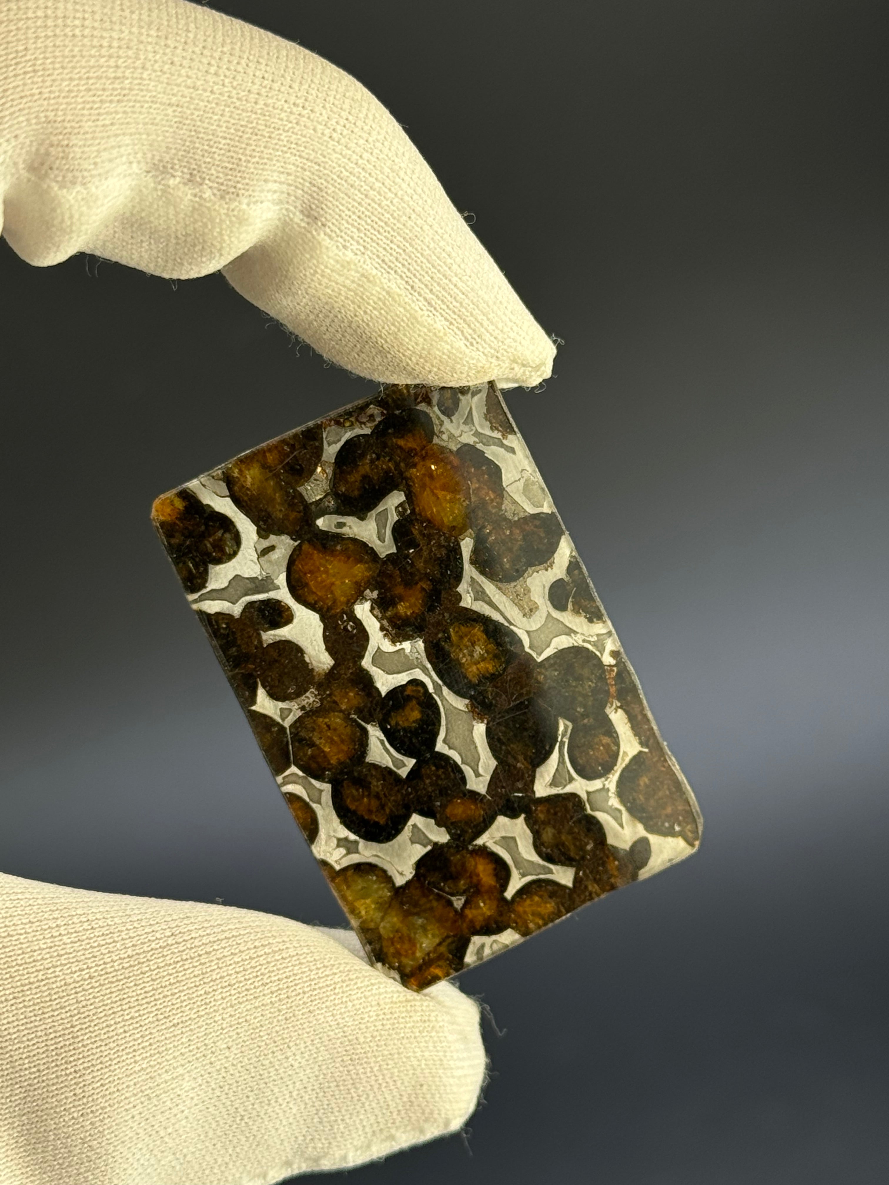 SERICHO METEORITE, KENYA. 9,02 GRAMS SLICE