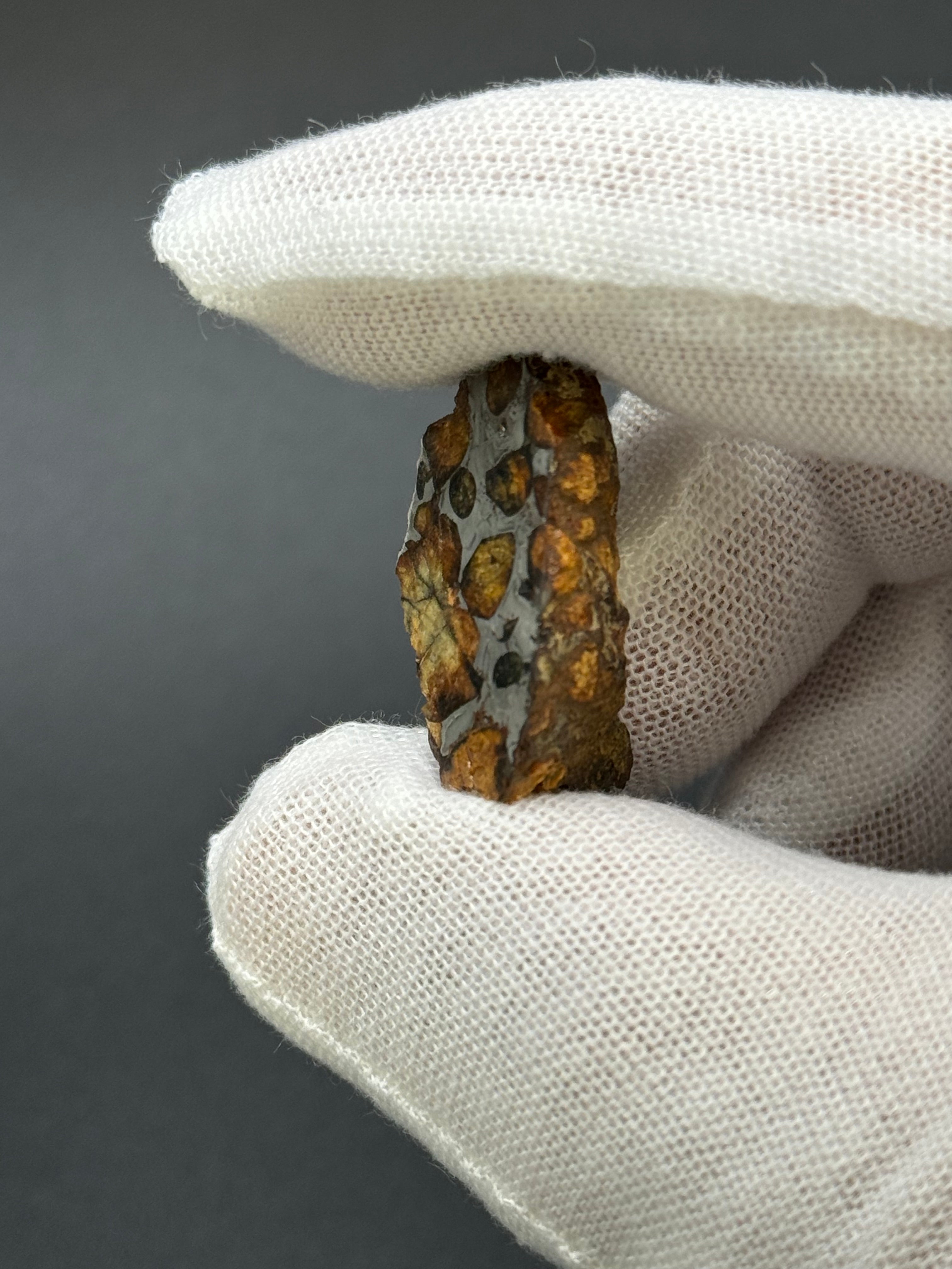 SERICHO PALLASITE METEORITE, KENYA. 9,56 GRAMS END-CUT