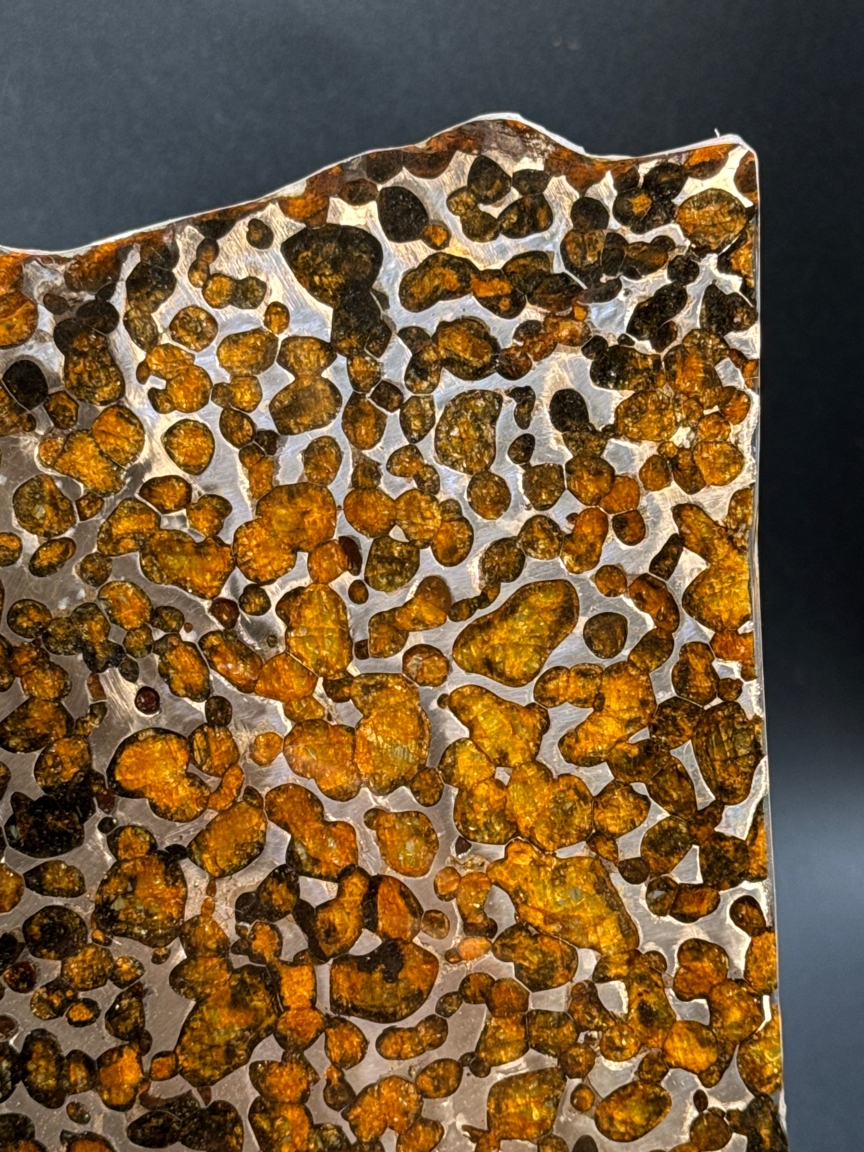 SERICHO METEORITE, KENYA. 116 GRAMS SLICE