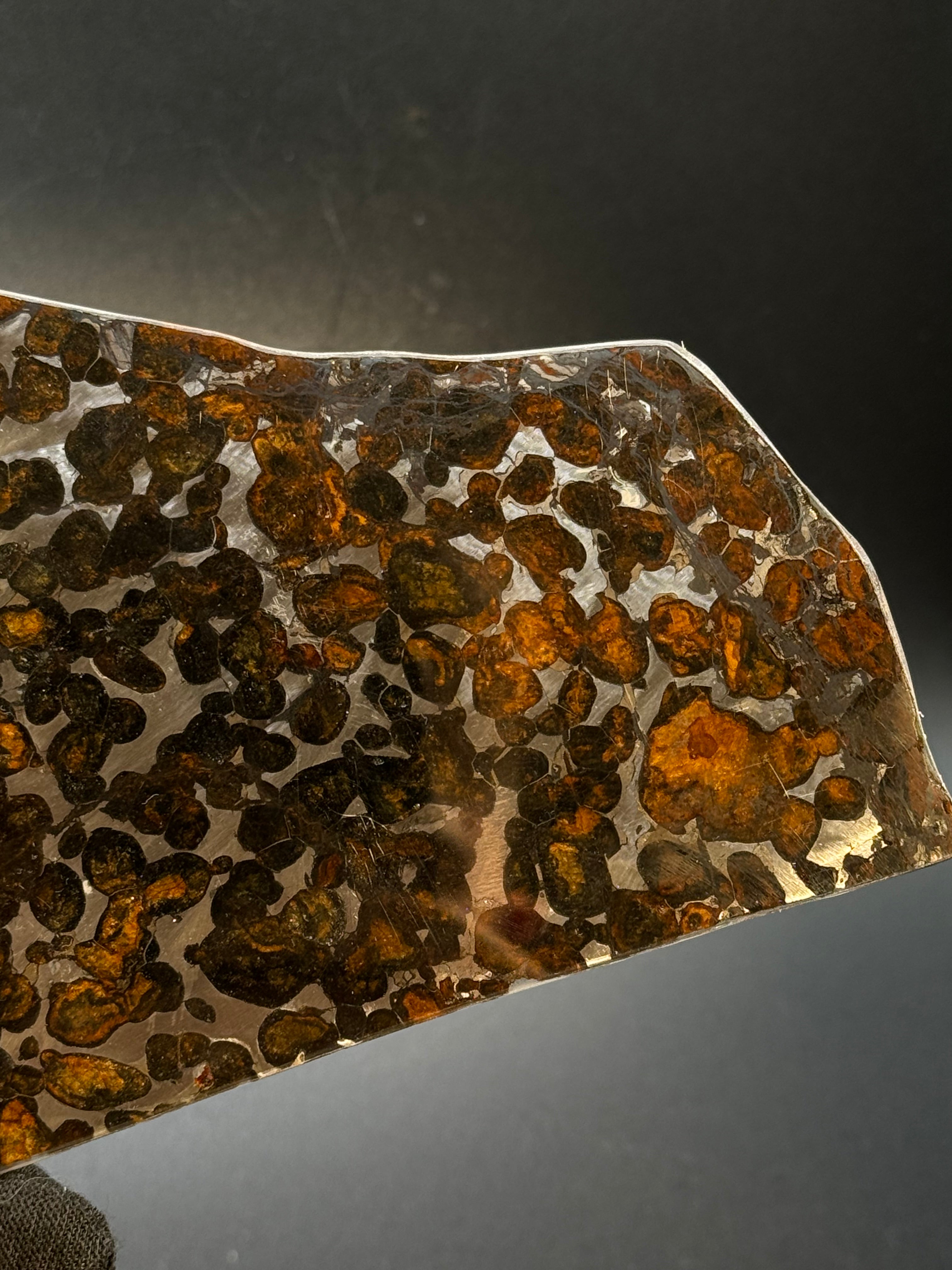 SERICHO METEORITE, KENYA. 65 GRAMS SLICE