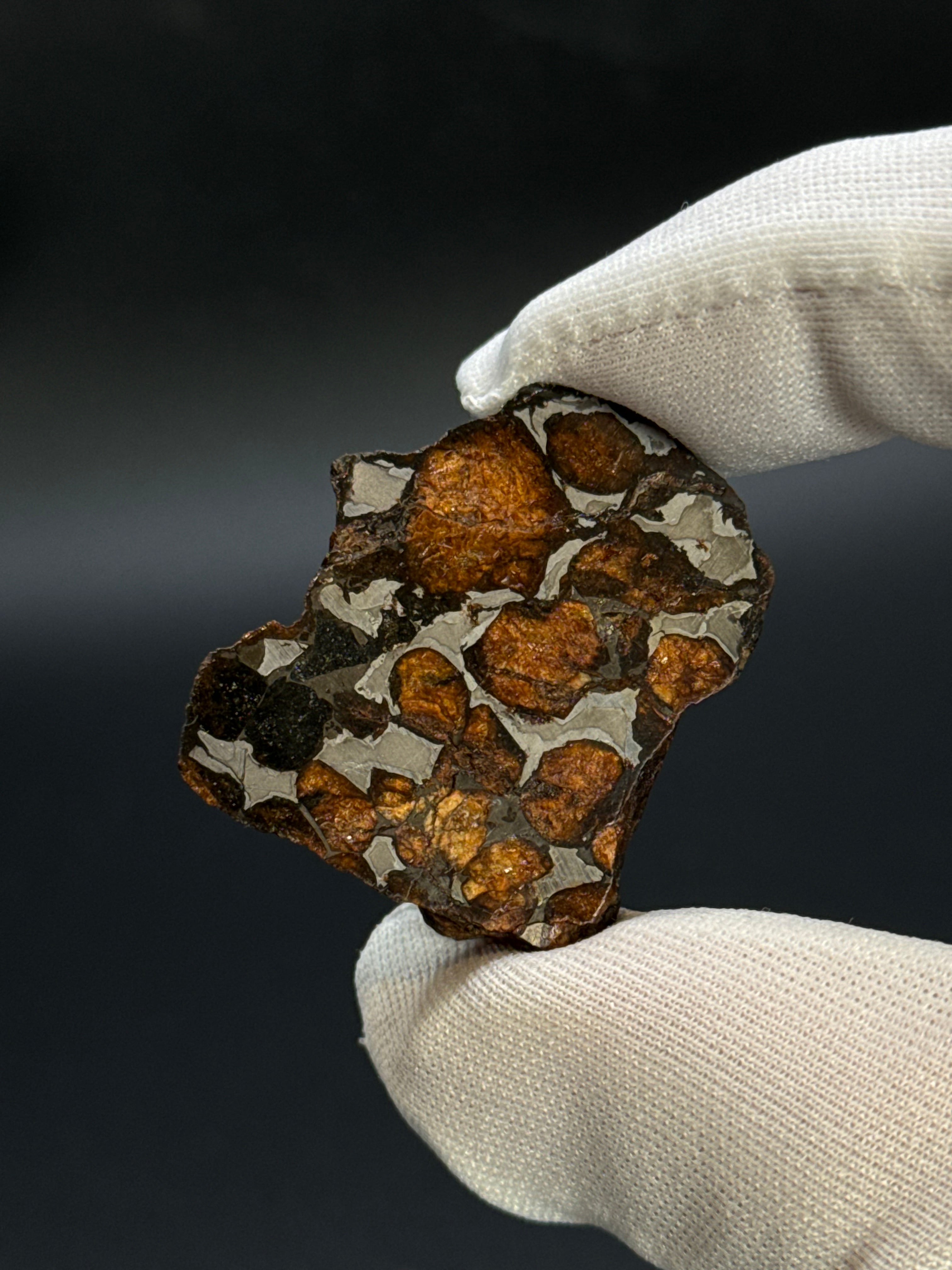 SERICHO PALLASITE METEORITE, KENYA. 15,28 GRAMS END-CUT