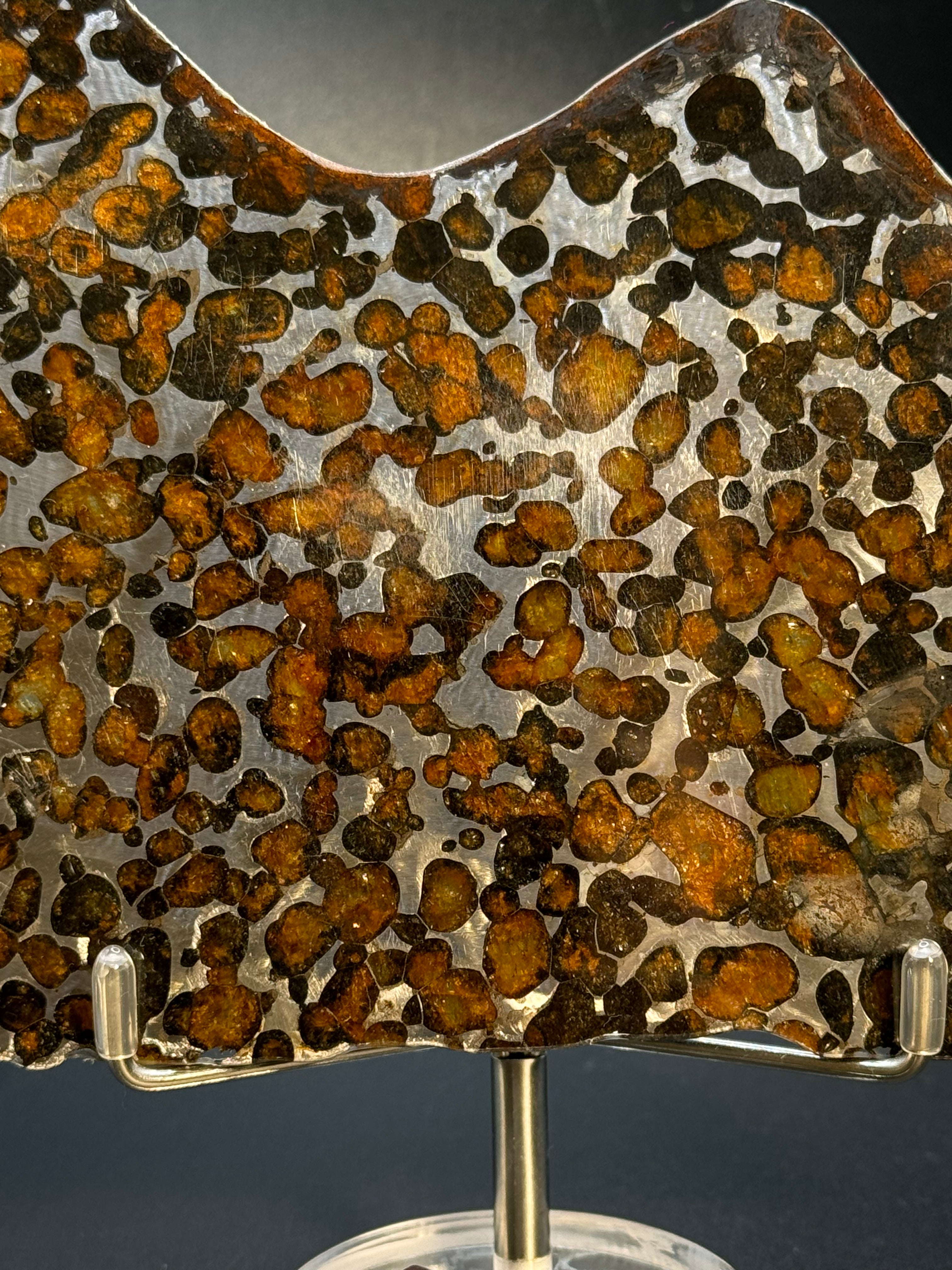 SERICHO METEORITE, KENYA. 81 GRAMS SLICE