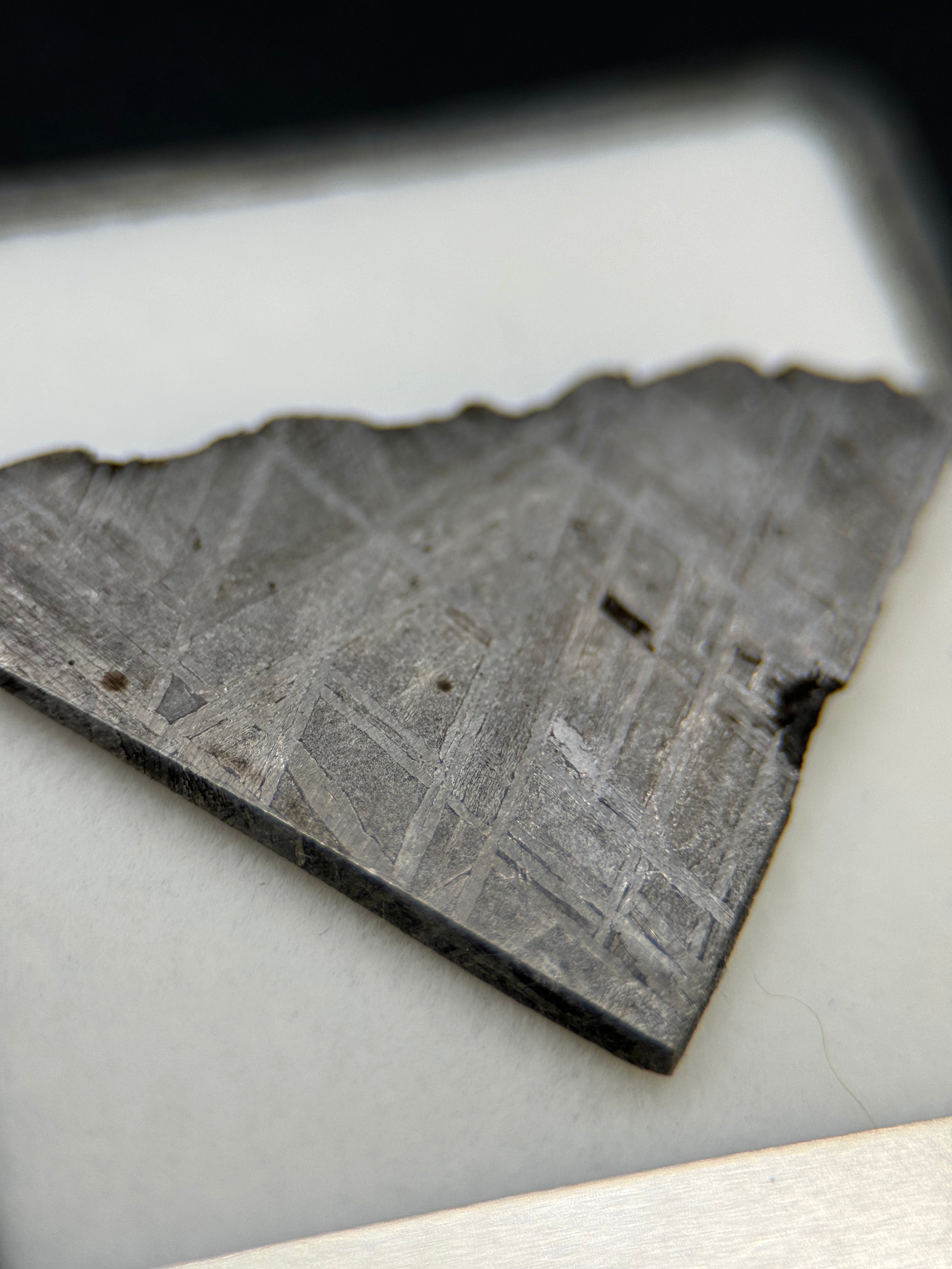 MUONIONALUSTA METEORITE, SWEDEN. DISPLAY BOX.
