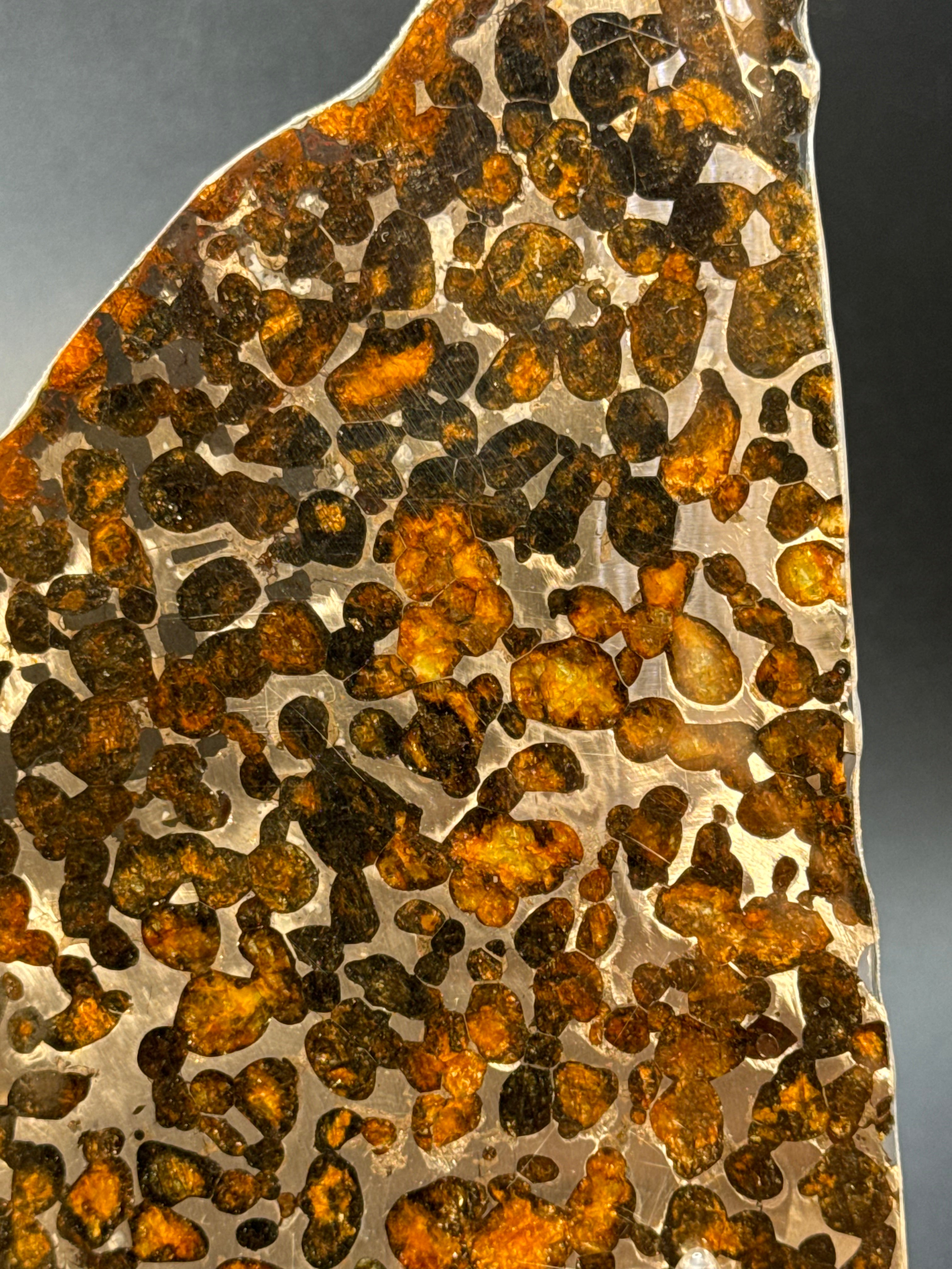 SERICHO METEORITE, KENYA. 73 GRAMS SLICE