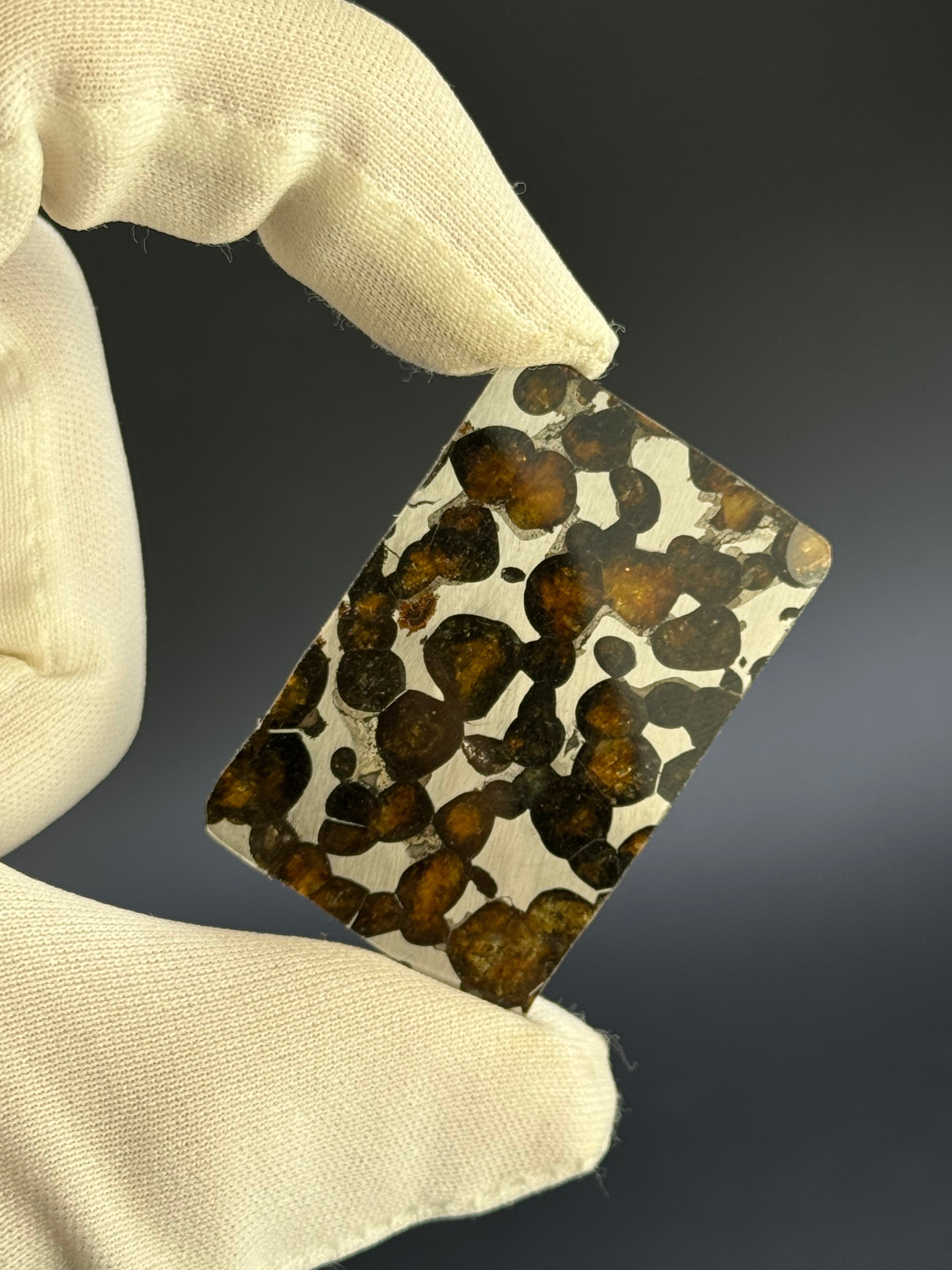 SERICHO METEORITE, KENYA. 9,02 GRAMS SLICE