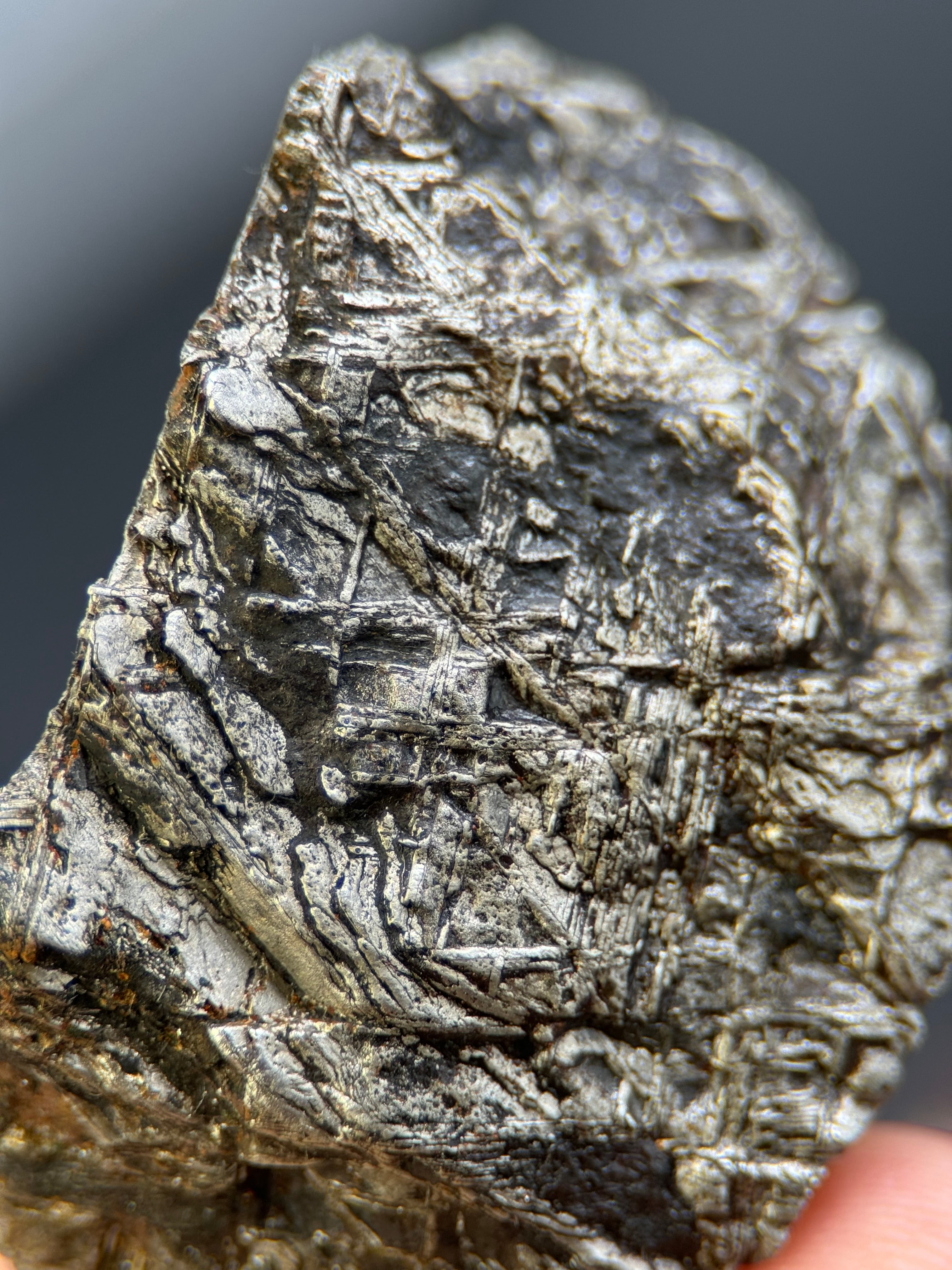 MUONIONALUSTA METEORITE, SWEDEN. 82,64 GRAMS END-CUT.