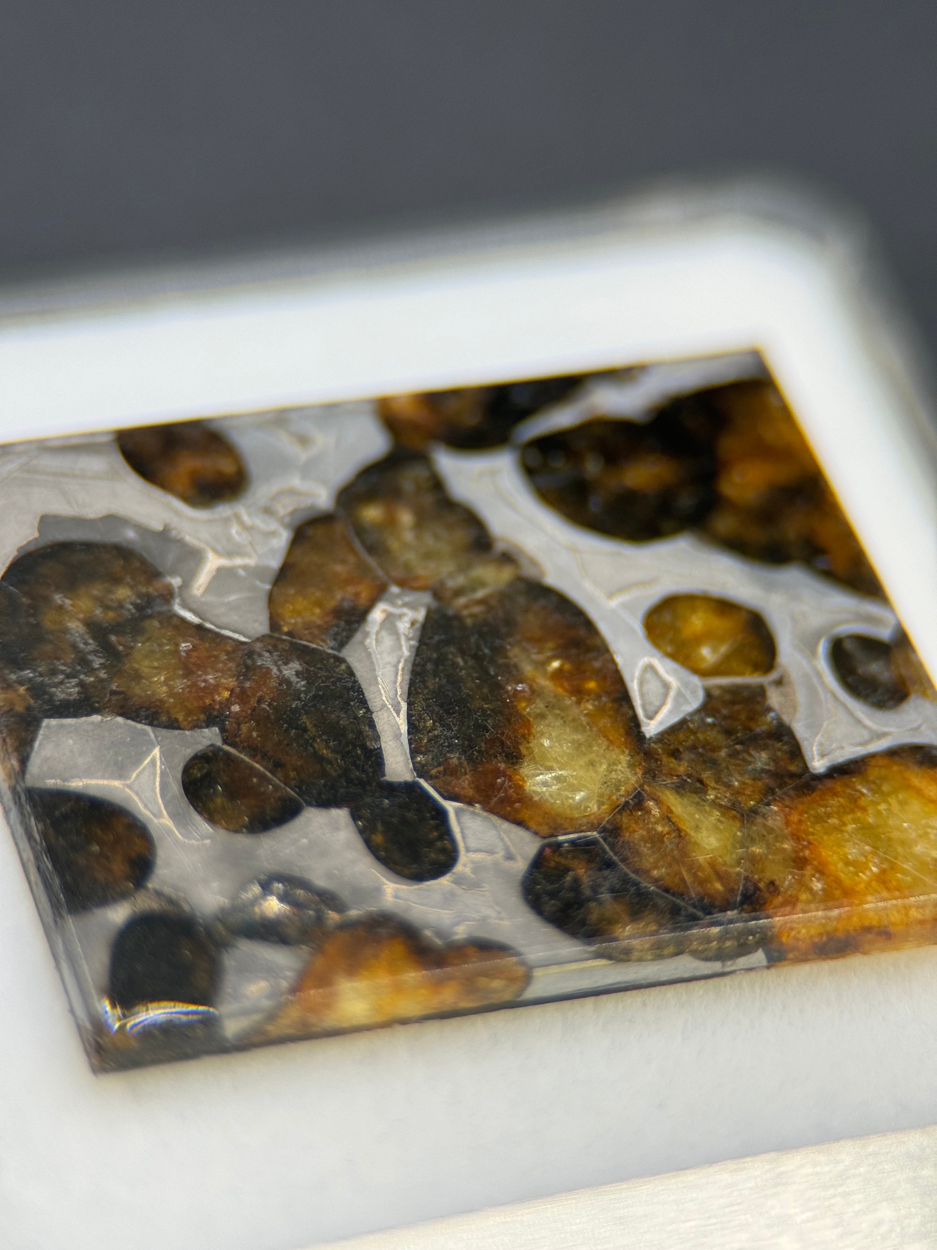 SERICHO METEORITE, KENYA. DISPLAY BOX. 4 GRAMS.