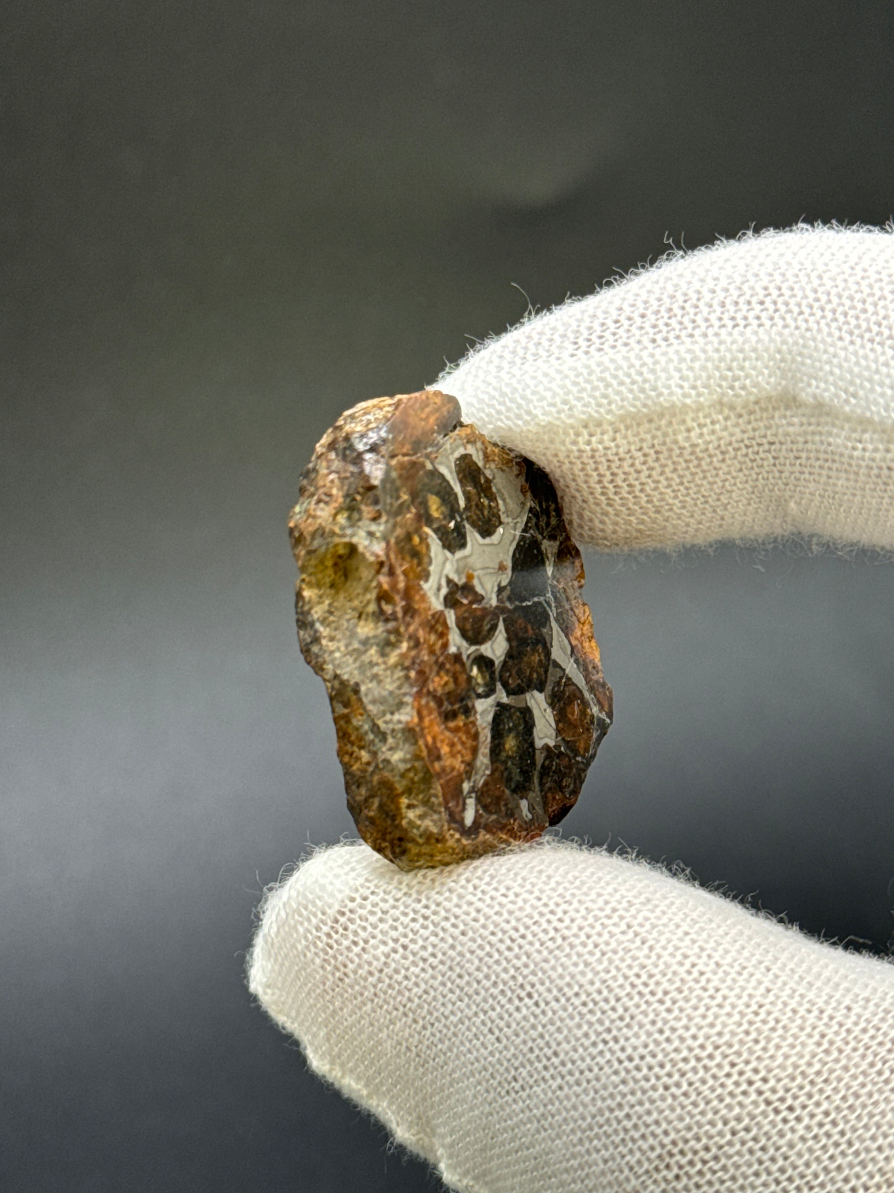 SERICHO PALLASITE METEORITE, KENYA. 14,76 GRAMS END-CUT