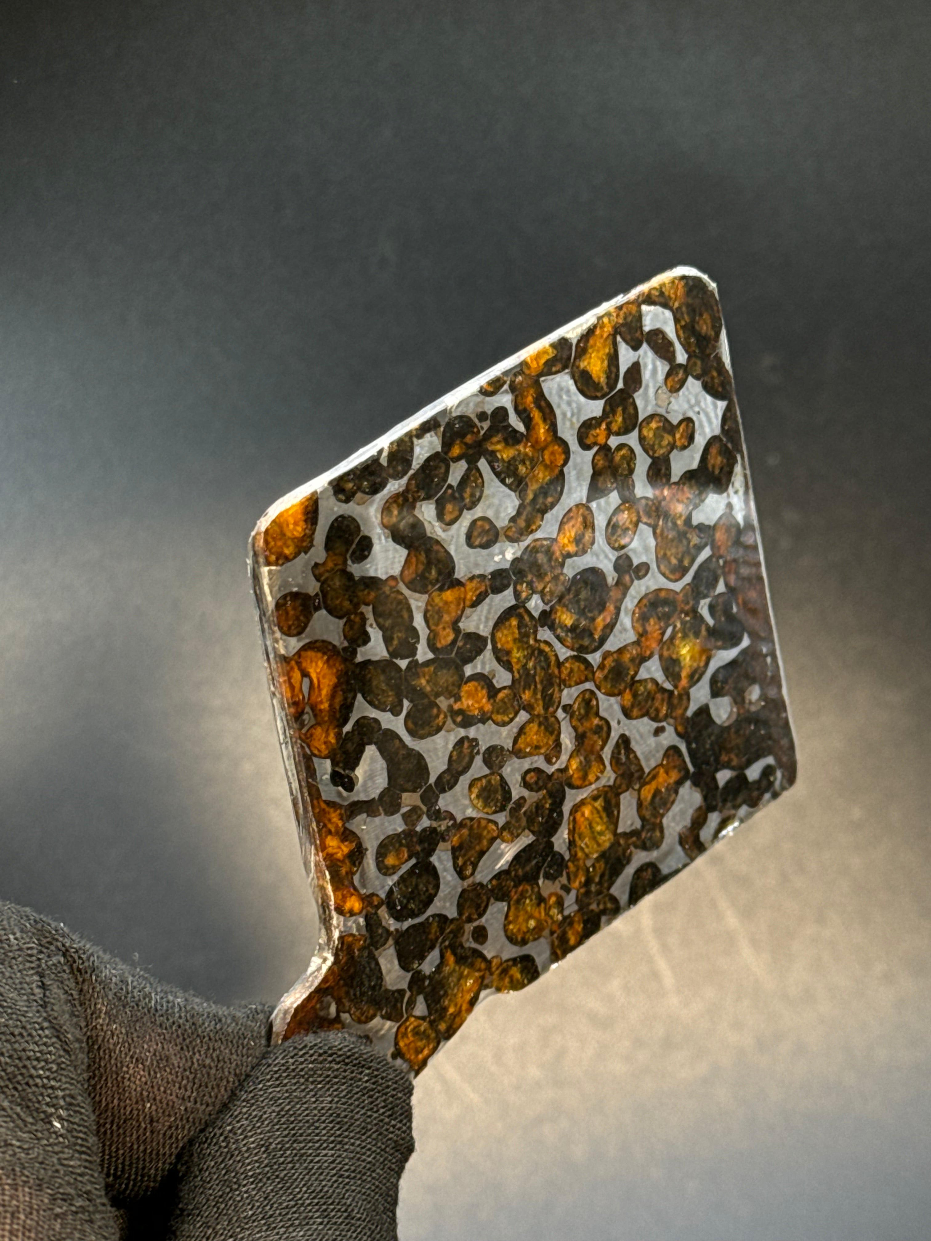 SERICHO METEORITE, KENYA. 30 GRAMS SLICE