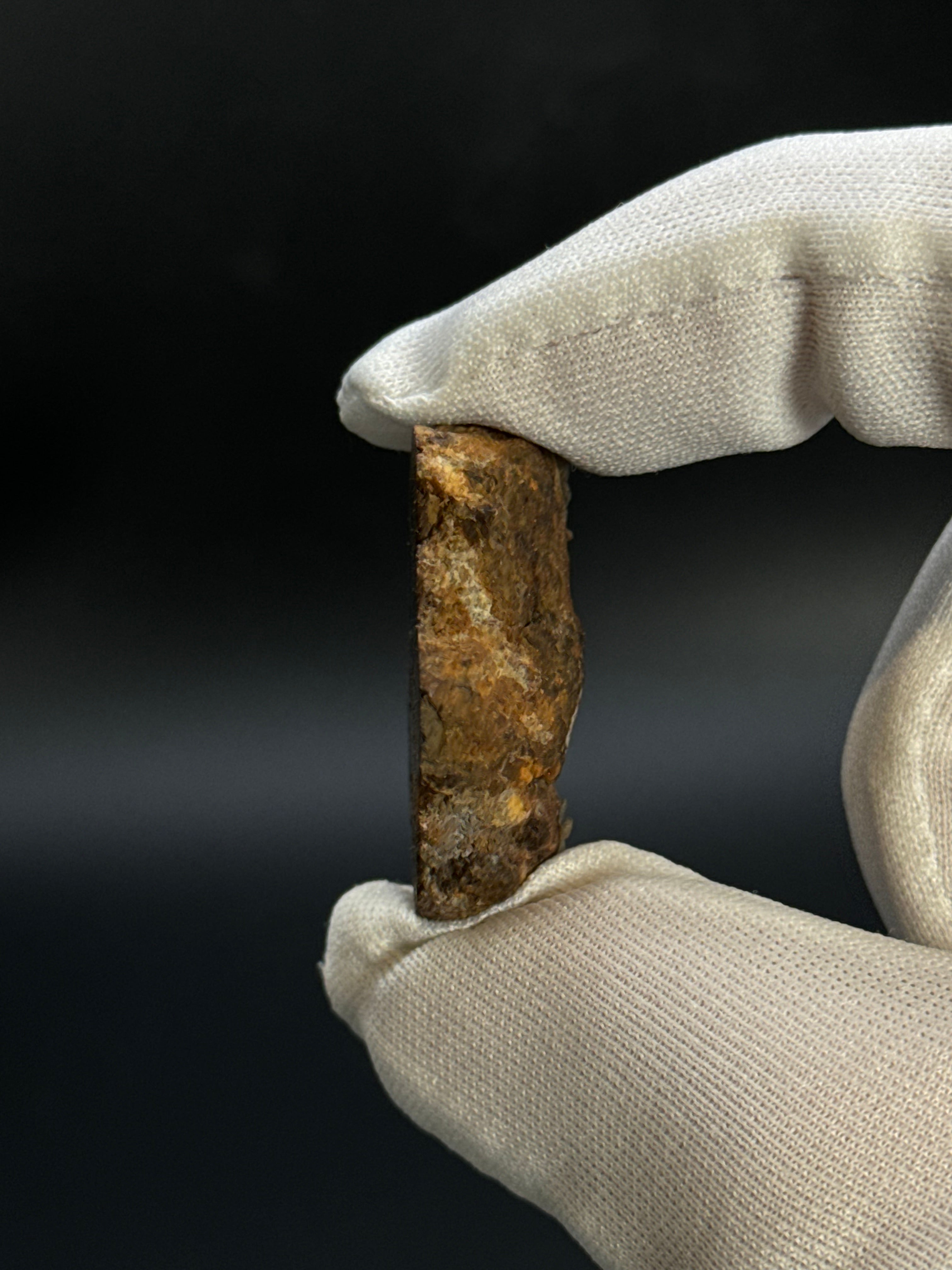 SERICHO PALLASITE METEORITE, KENYA. 17,83 GRAMS END-CUT