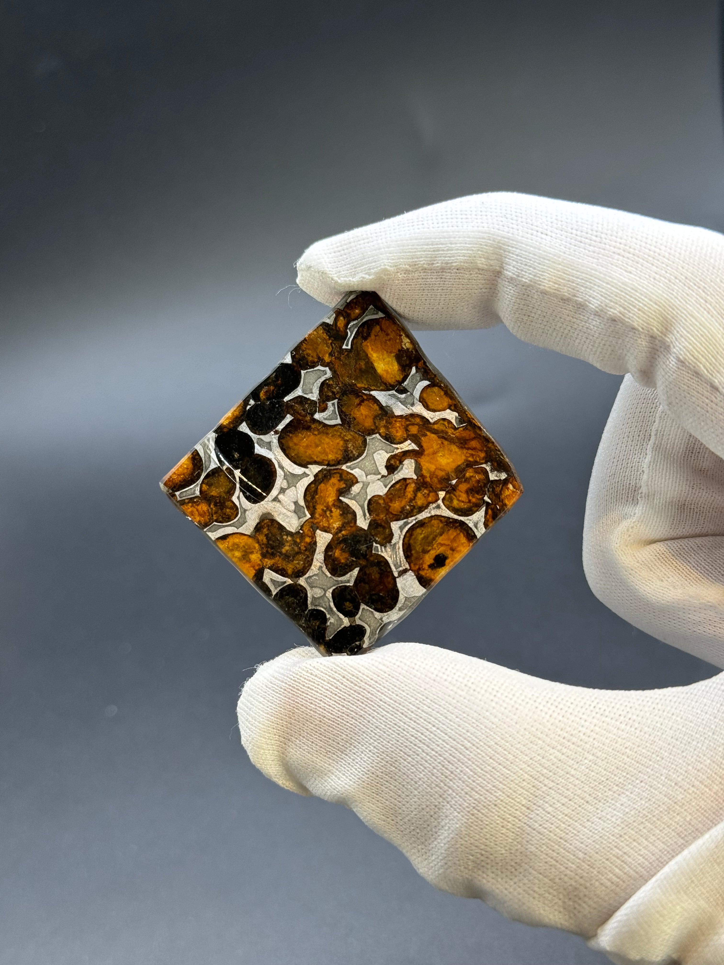 SERICHO METEORITE, KENYA. 9,38 GRAMS SLICE