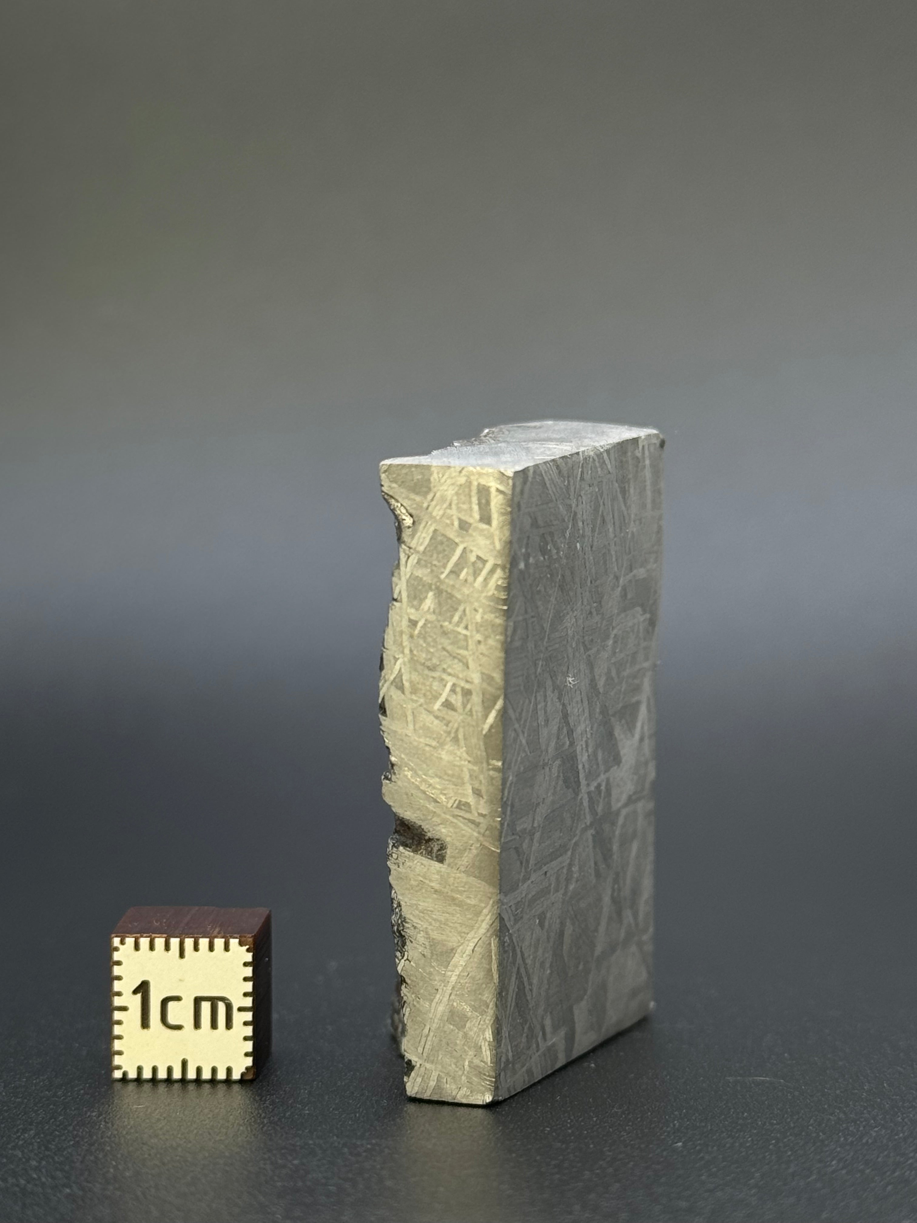 MUONIONALUSTA METEORITE, SWEDEN. 132,8 GRAMS END-CUT.