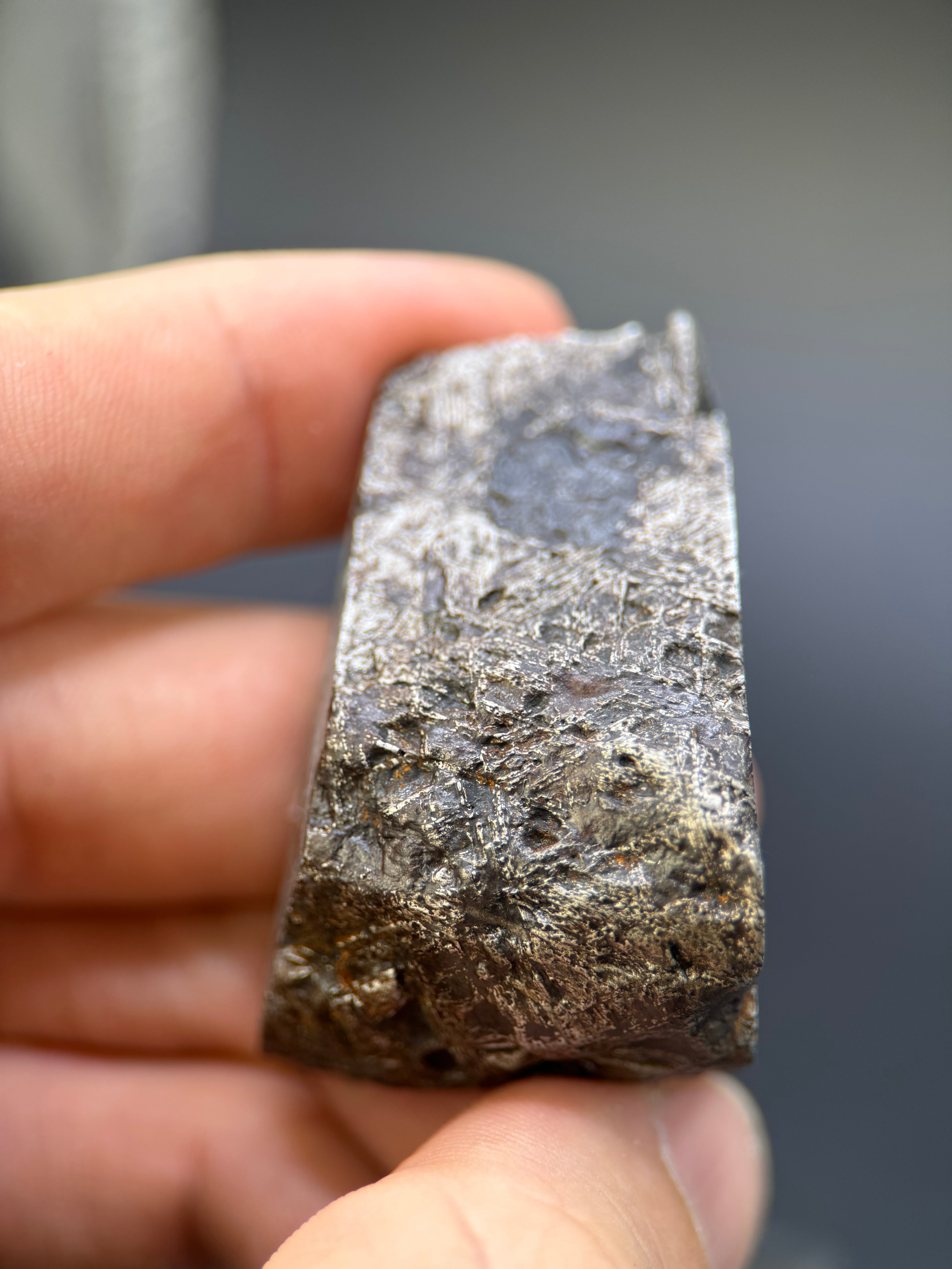MUONIONALUSTA METEORITE, SWEDEN. 141,05 GRAMS END-CUT