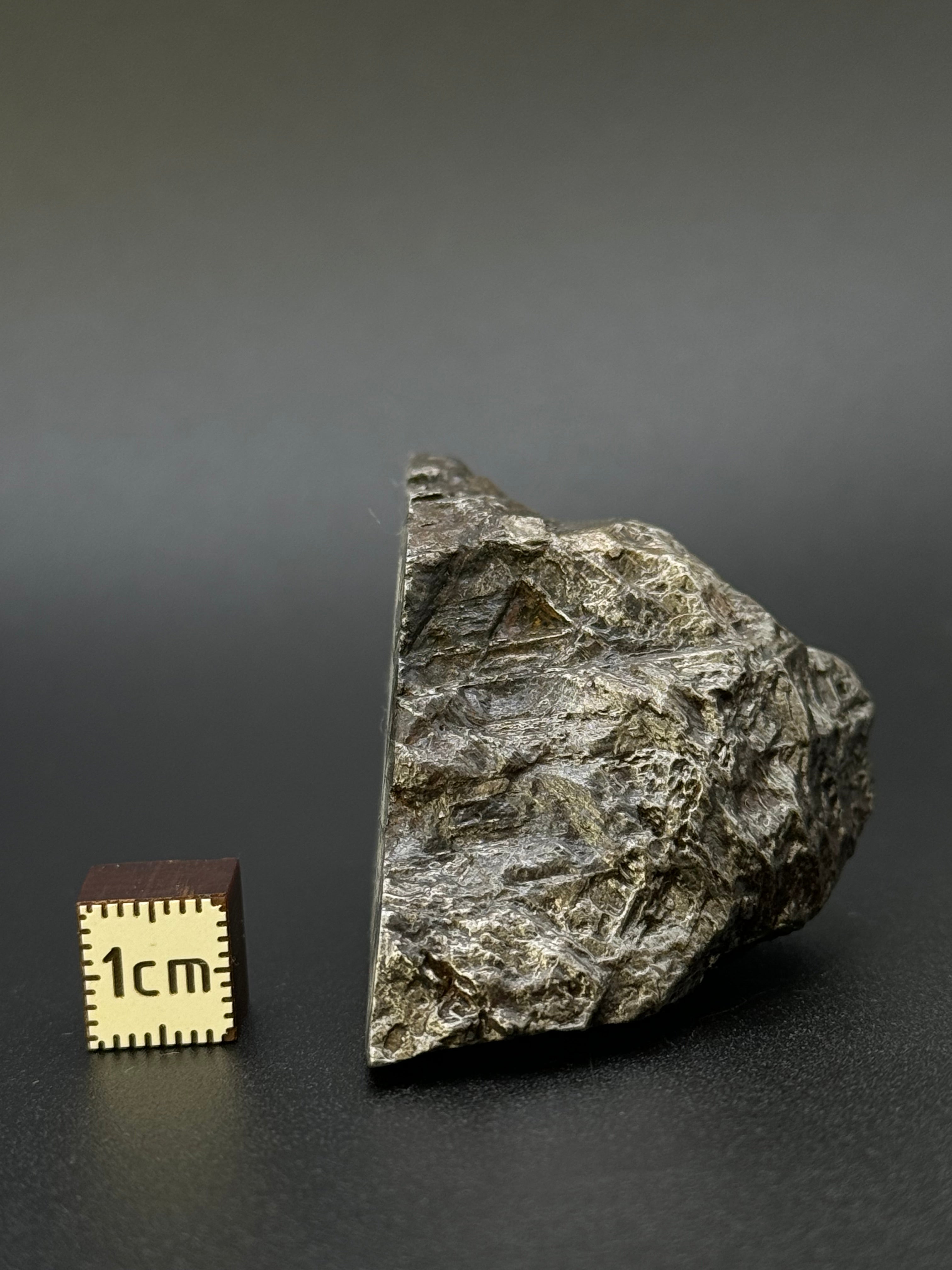 MUONIONALUSTA METEORITE, SWEDEN. 213 GRAMS END-CUT.