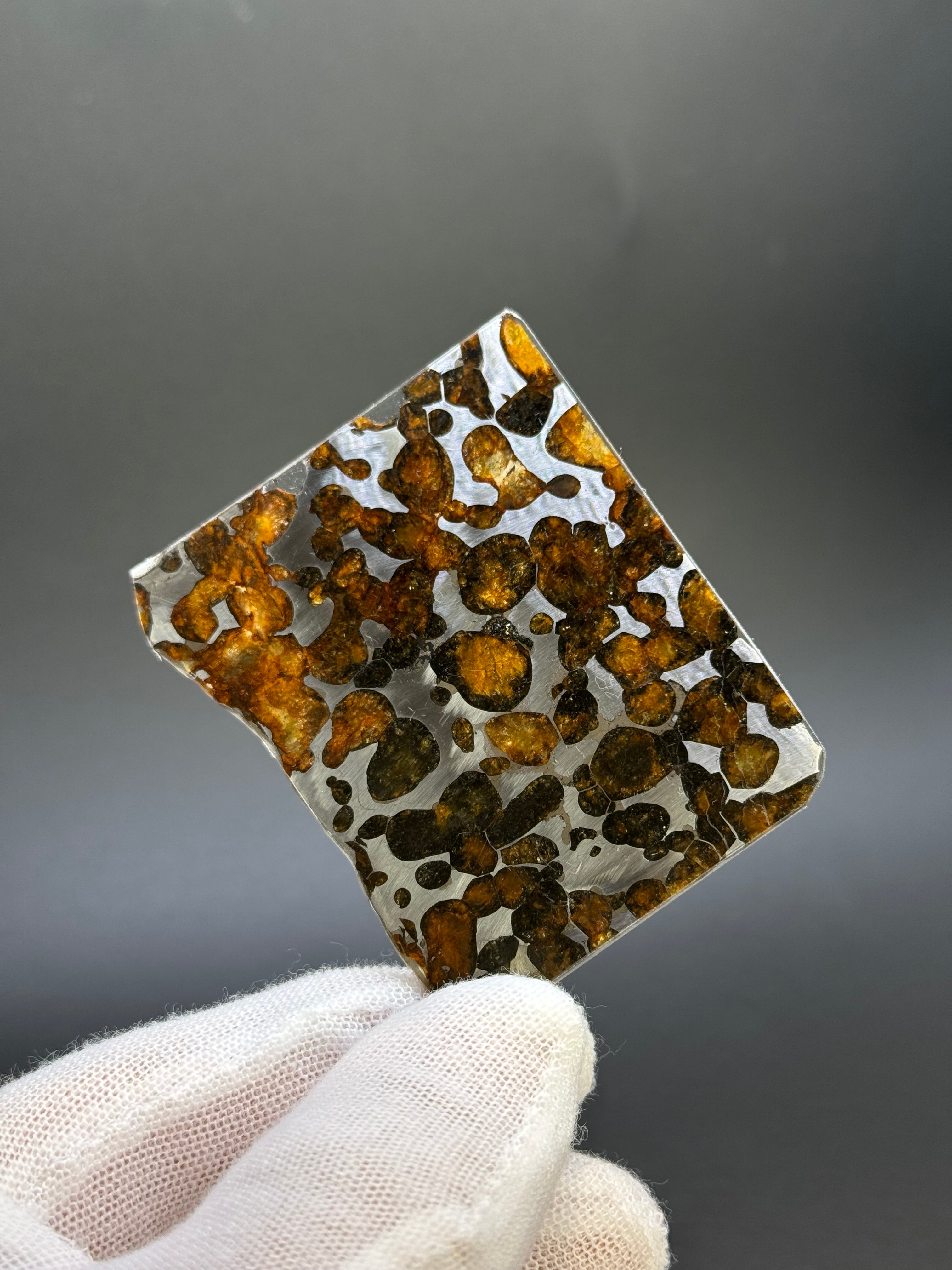 SERICHO METEORITE, KENYA. 21,80 GRAMS SLICE