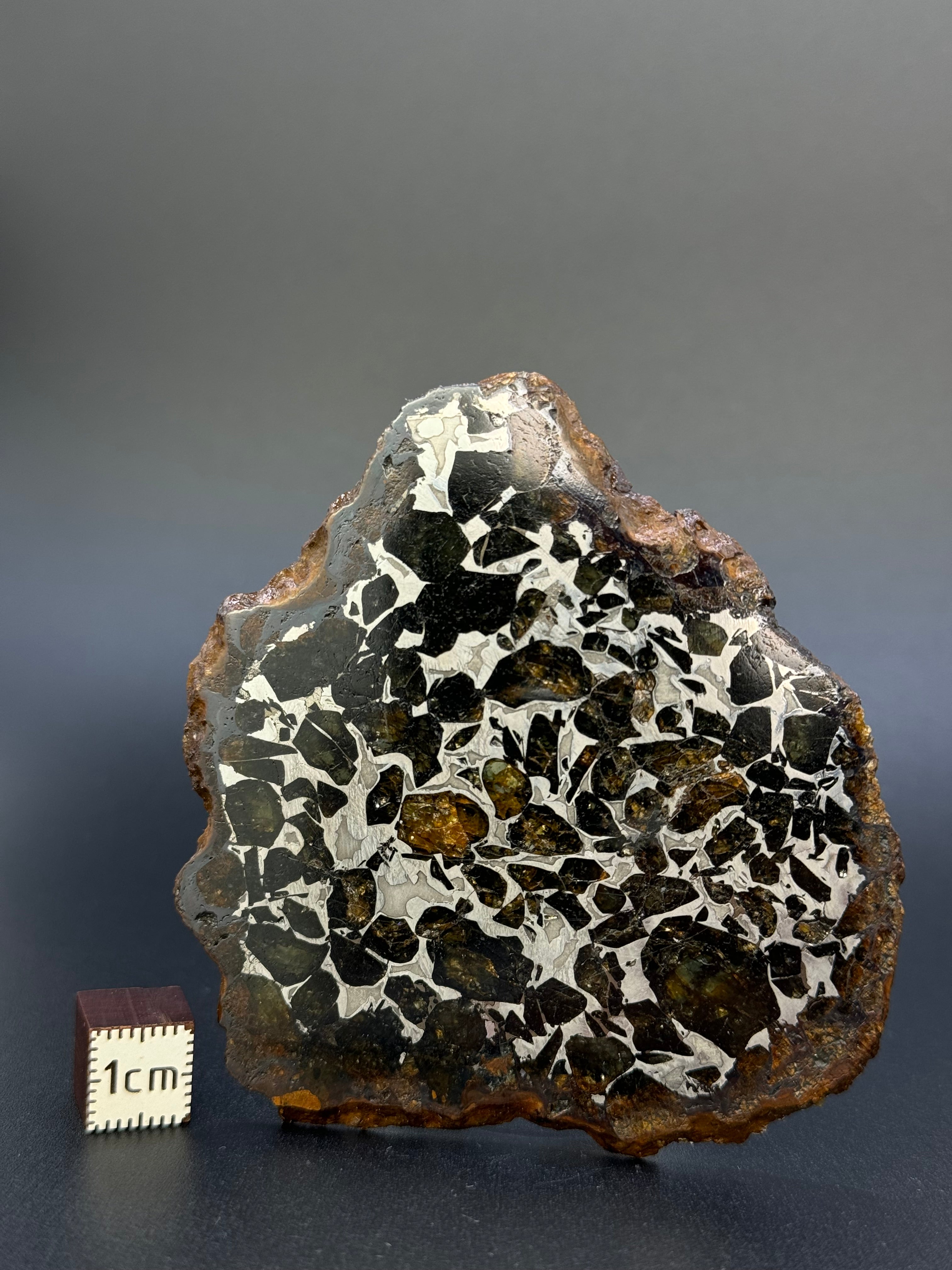 SEYMCHAN METEORITE, MAGADAN REGION, RUSSIA. 32,90 GRAMS.