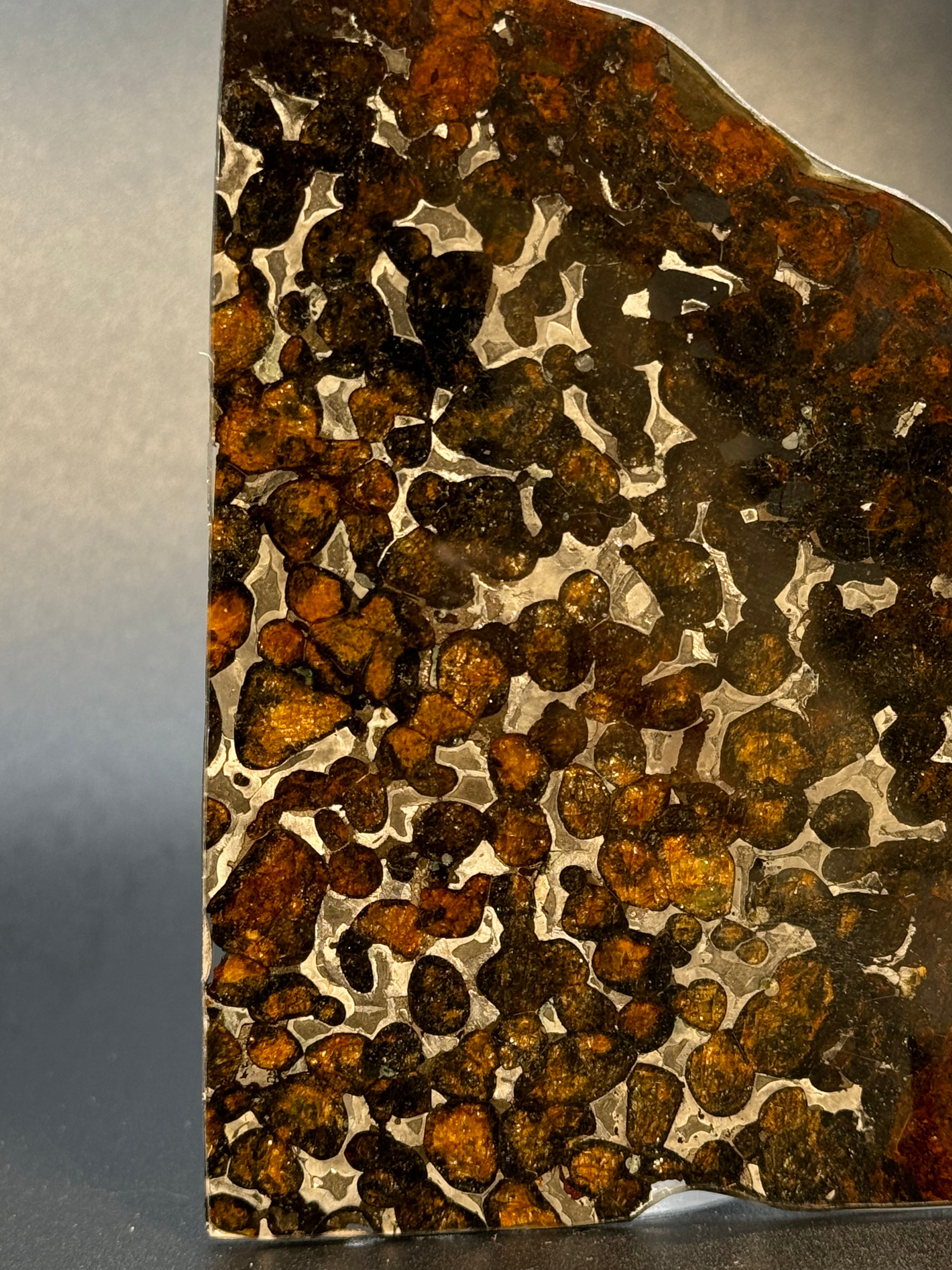 SERICHO METEORITE, KENYA. 49 GRAMS SLICE