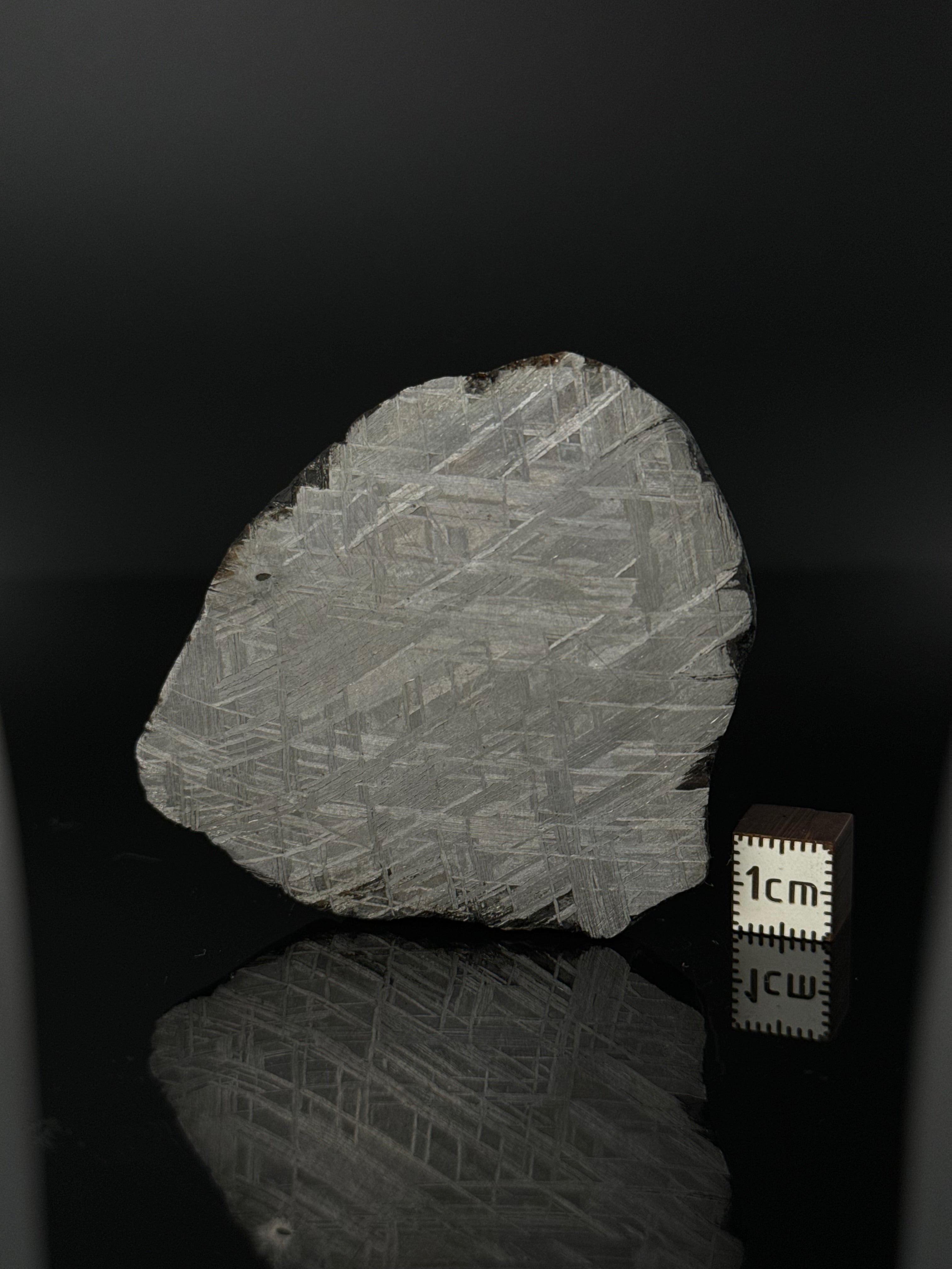 MUONIONALUSTA METEORITE, SWEDEN 80,80 GRAMS.