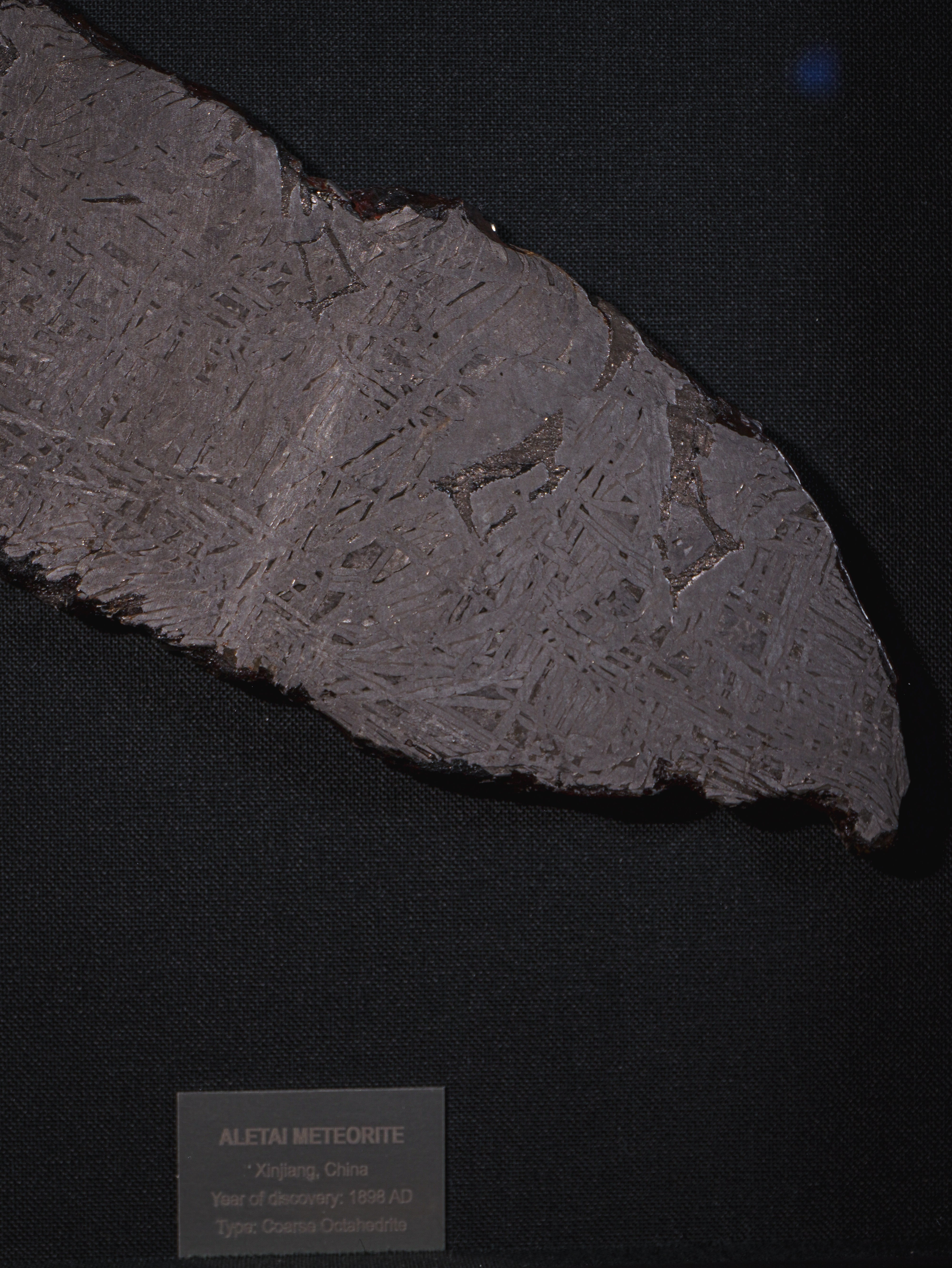 Aletai meteorite framed slice with crust - 302g