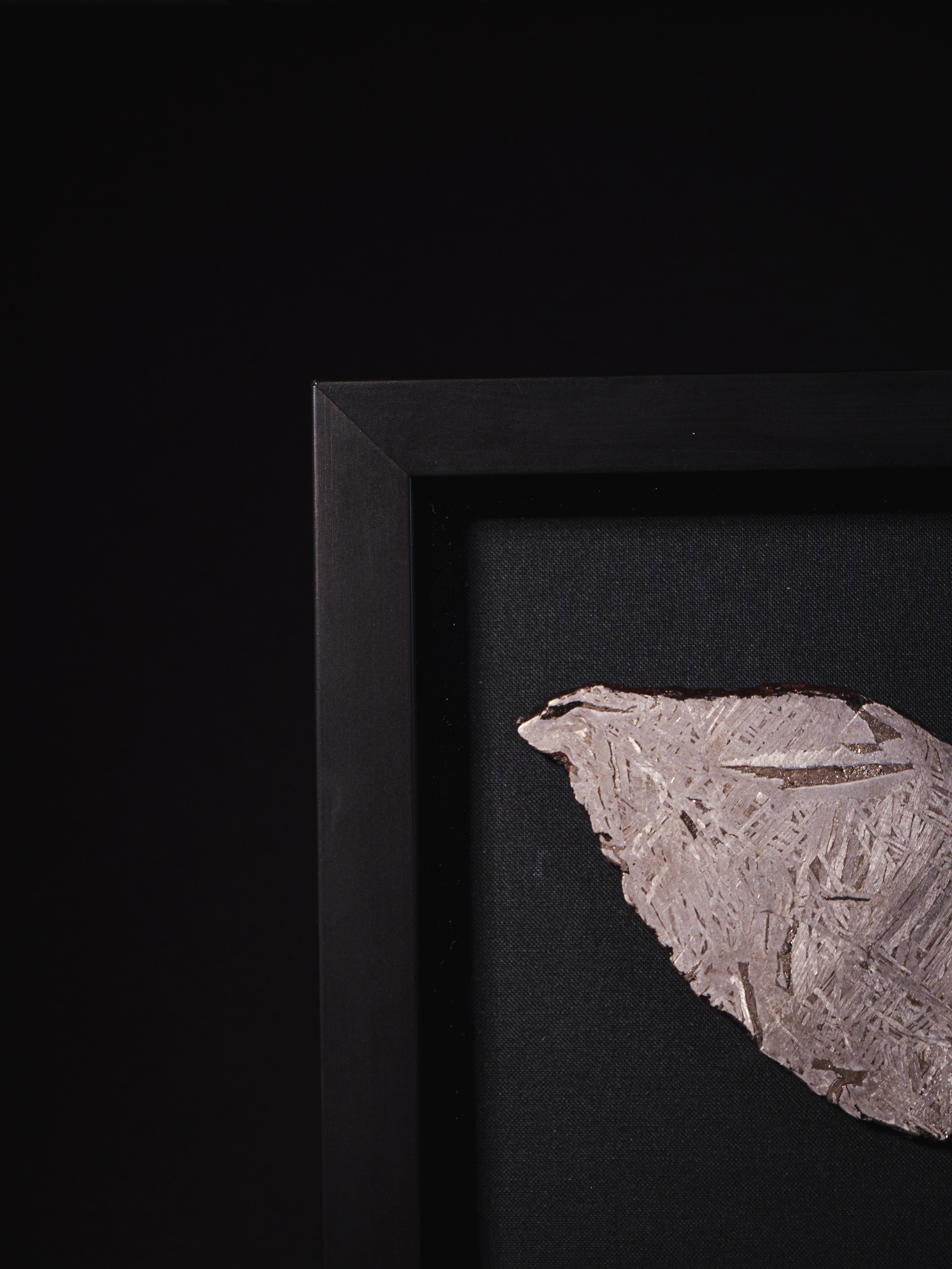 Aletai meteorite framed slice with crust - 303 g