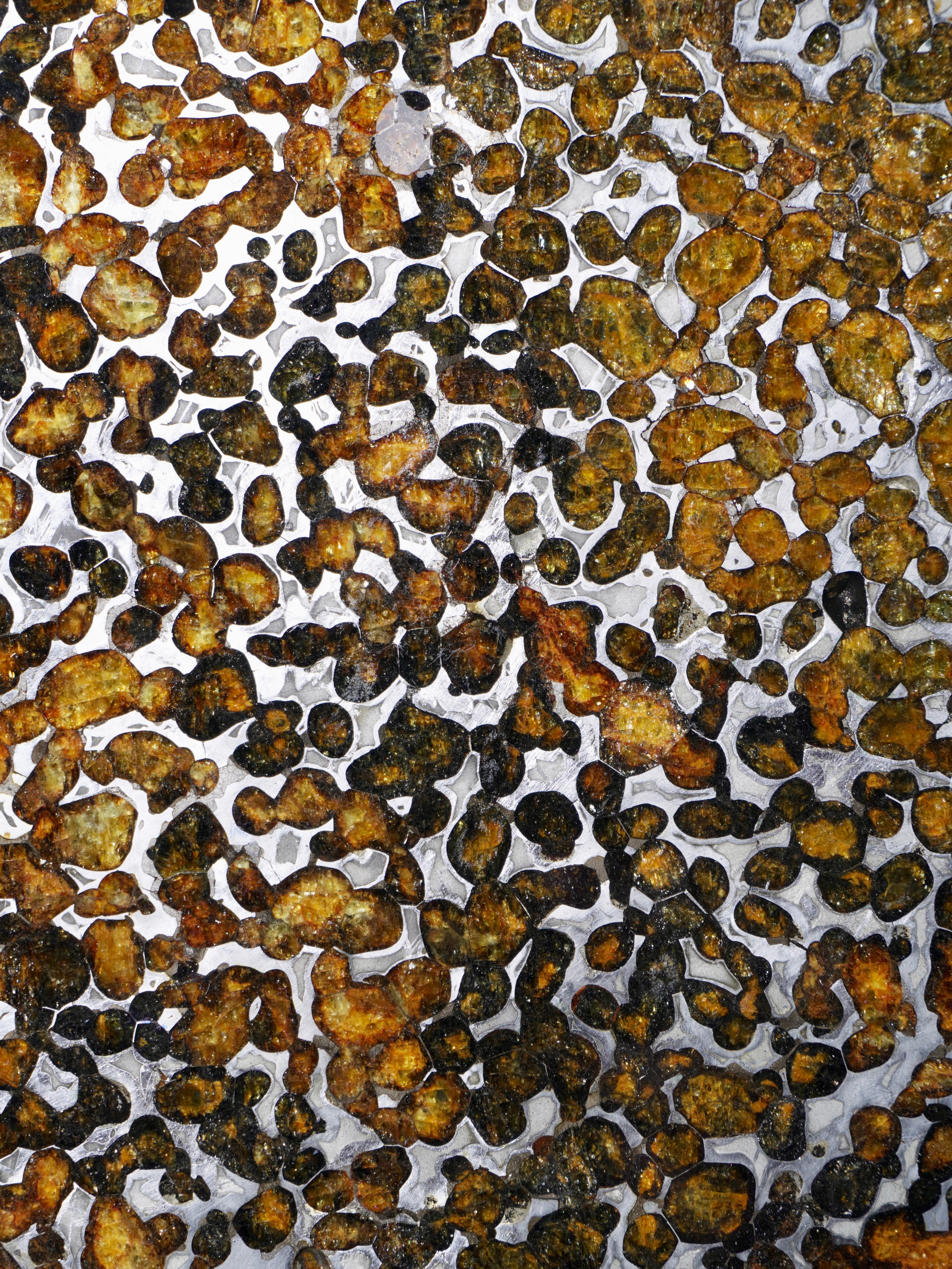 Sericho meteorite, Kenya. 81.22 grams.