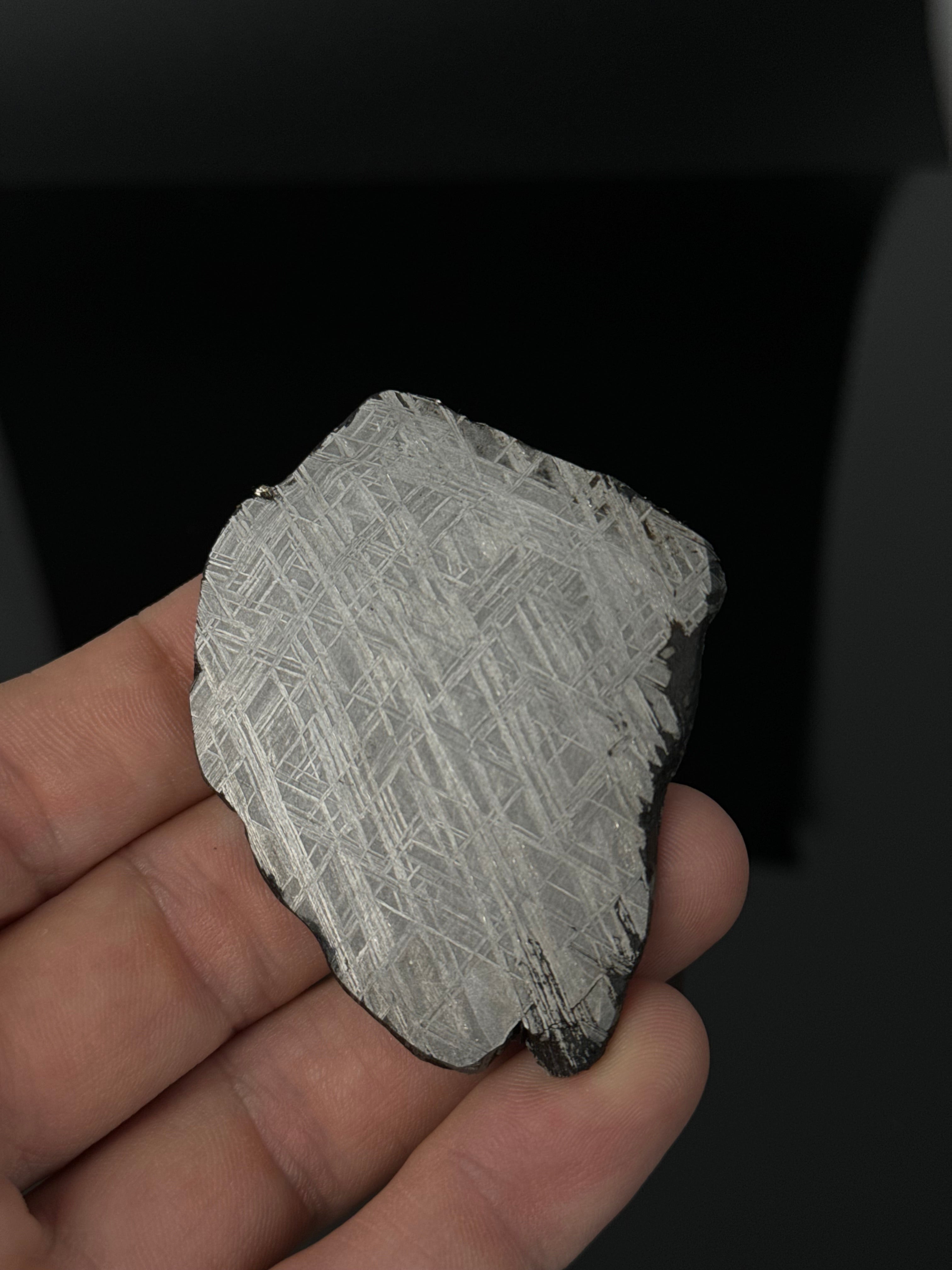 MUONIONALUSTA METEORITE, SWEDEN 66,46 GRAMS.