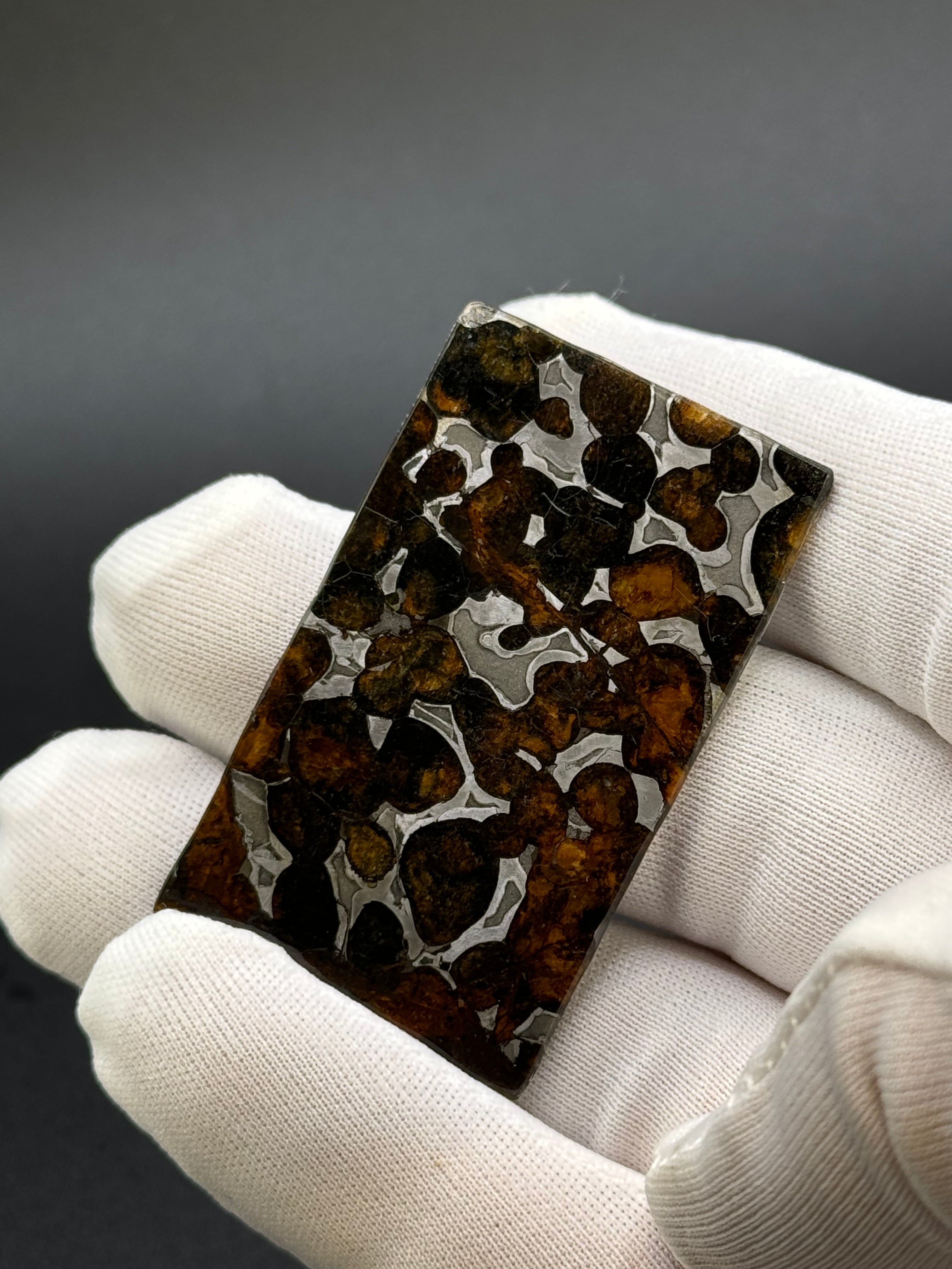 SERICHO METEORITE, KENYA. 11,13 GRAMS SLICE