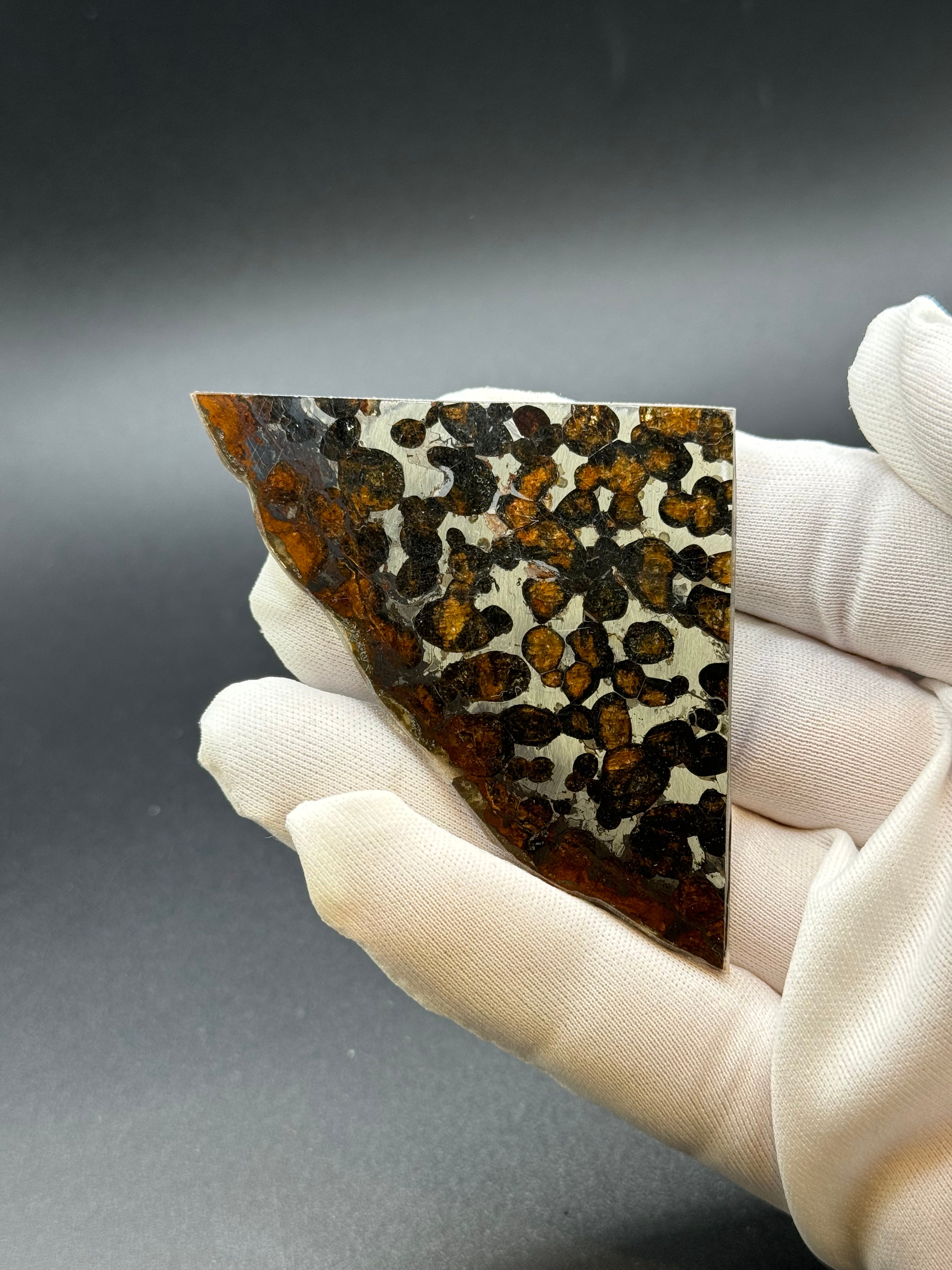 SERICHO METEORITE, KENYA. 16,3 GRAMS.