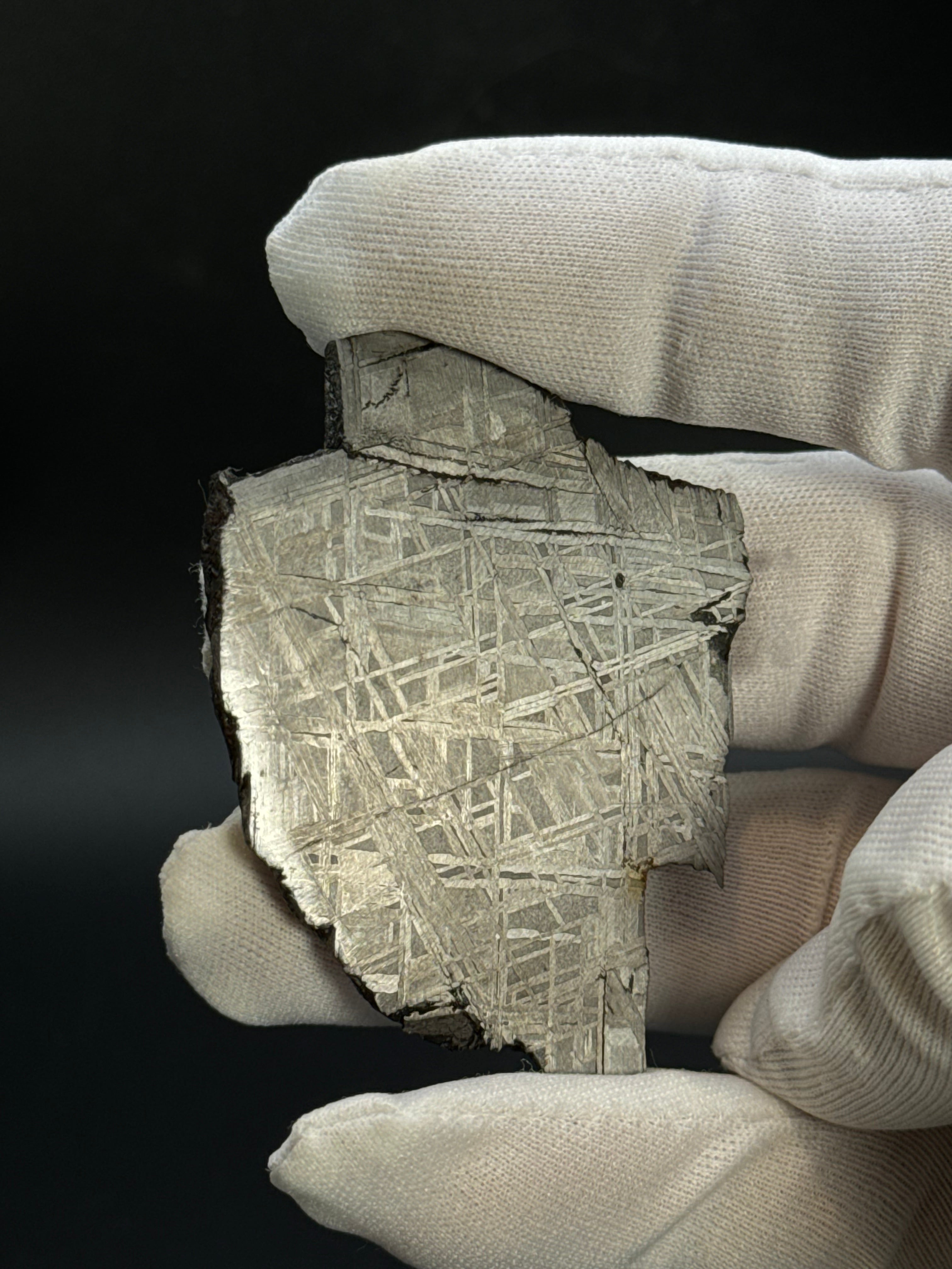 MUONIONALUSTA METEORITE, SWEDEN. 44,09 GRAMS.