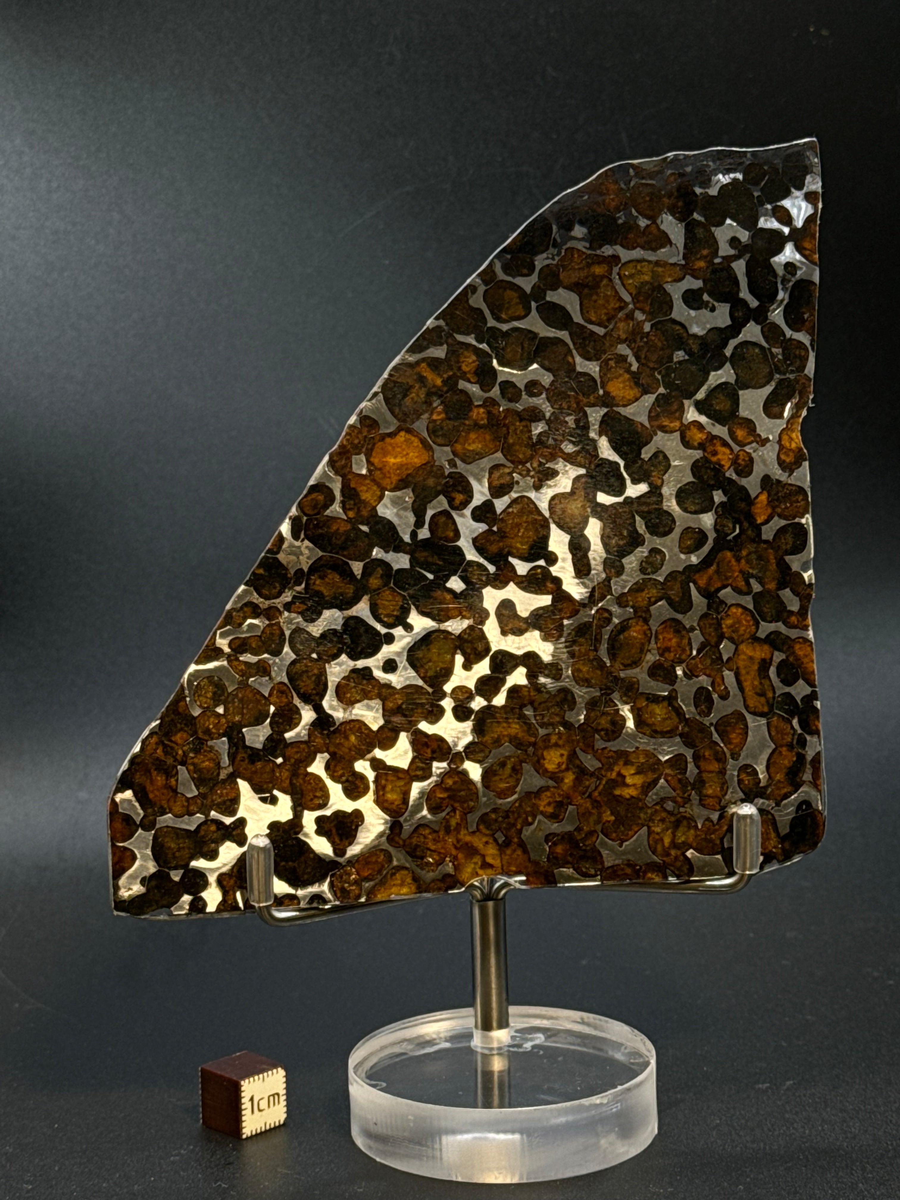 SERICHO METEORITE, KENYA. 71 GRAMS SLICE