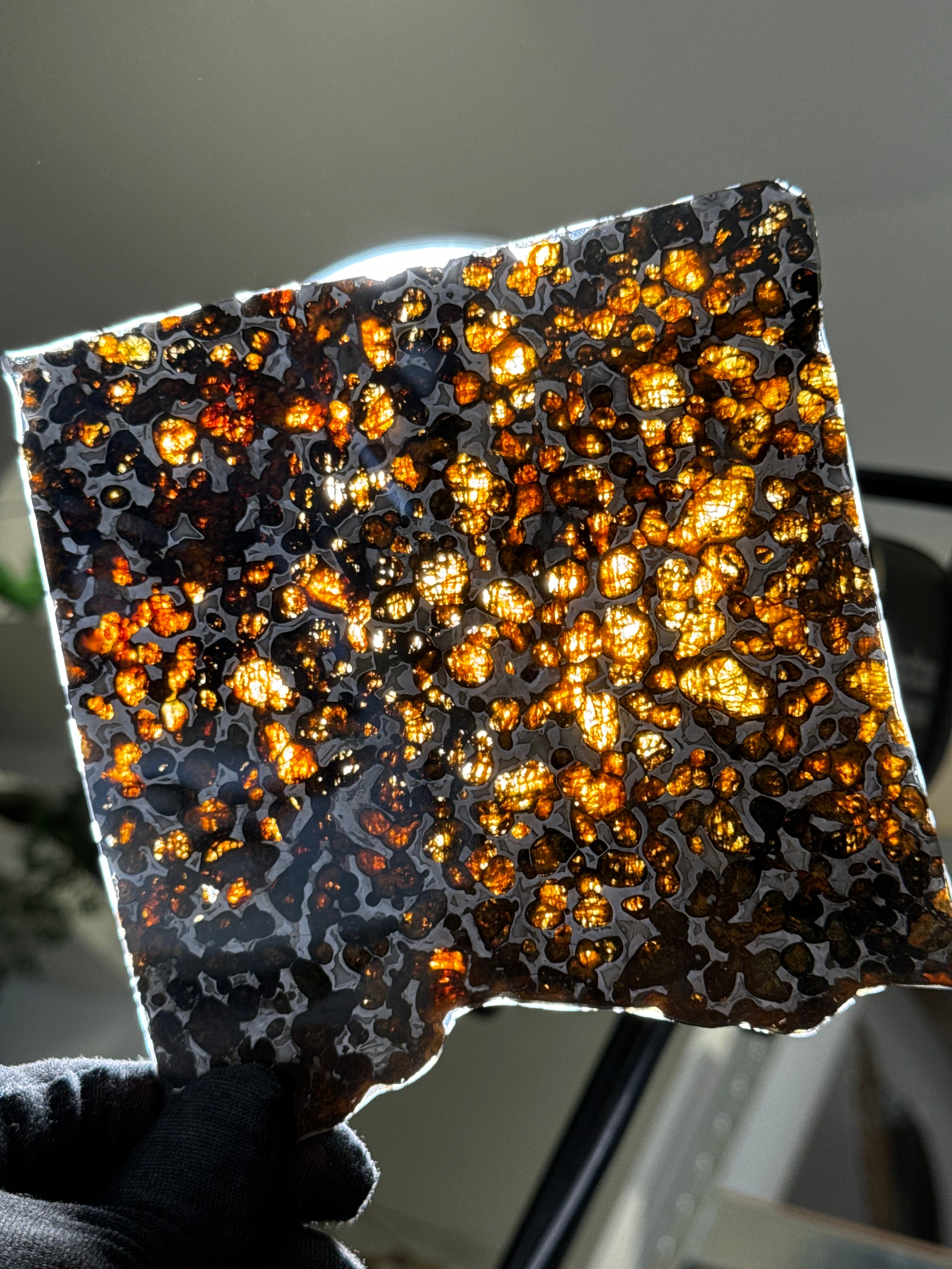 SERICHO METEORITE, KENYA. 116 GRAMS SLICE