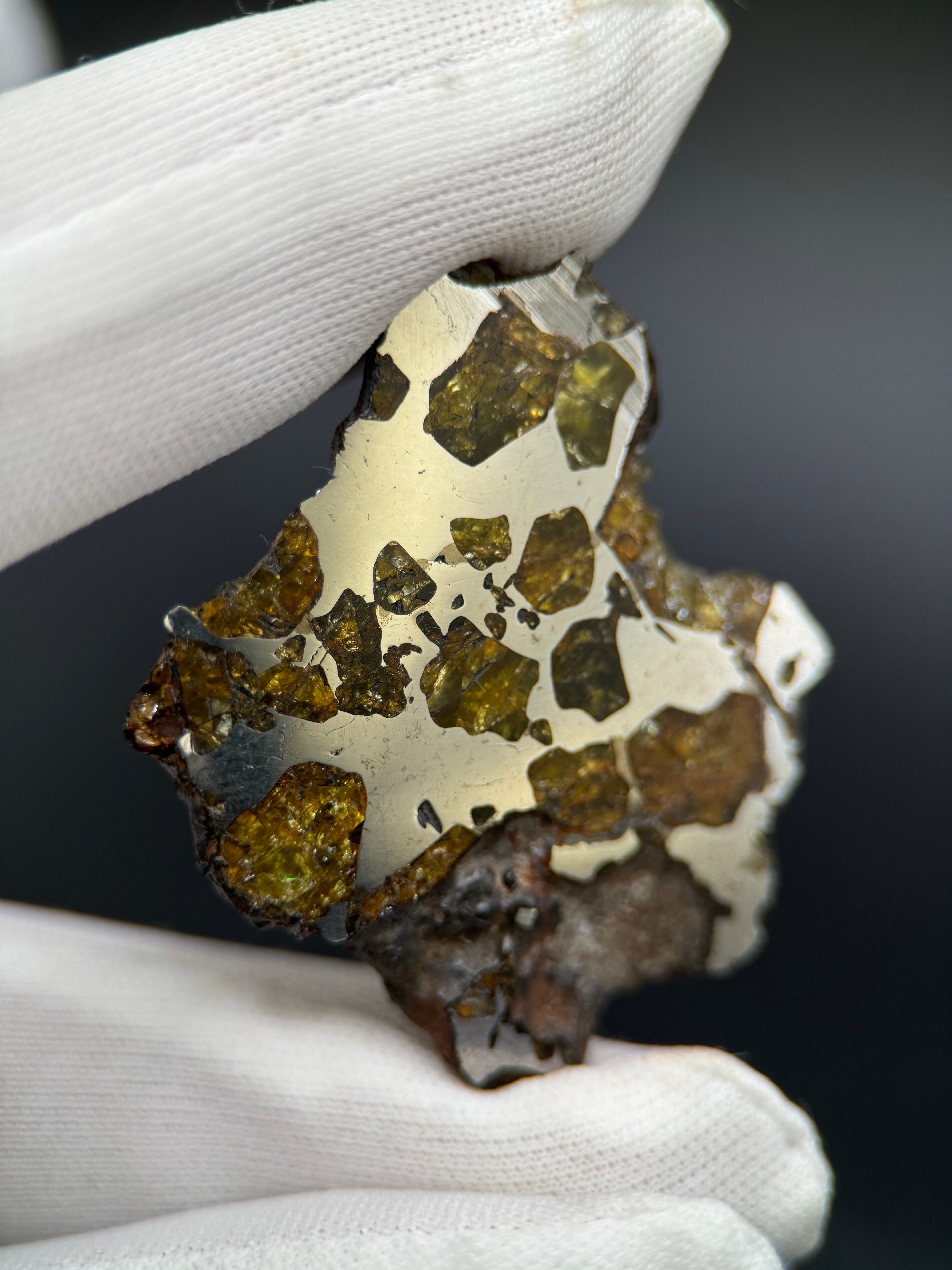 IMILAC PALLASITE METEORITE, CHILE. 15,06 GRAMS slice