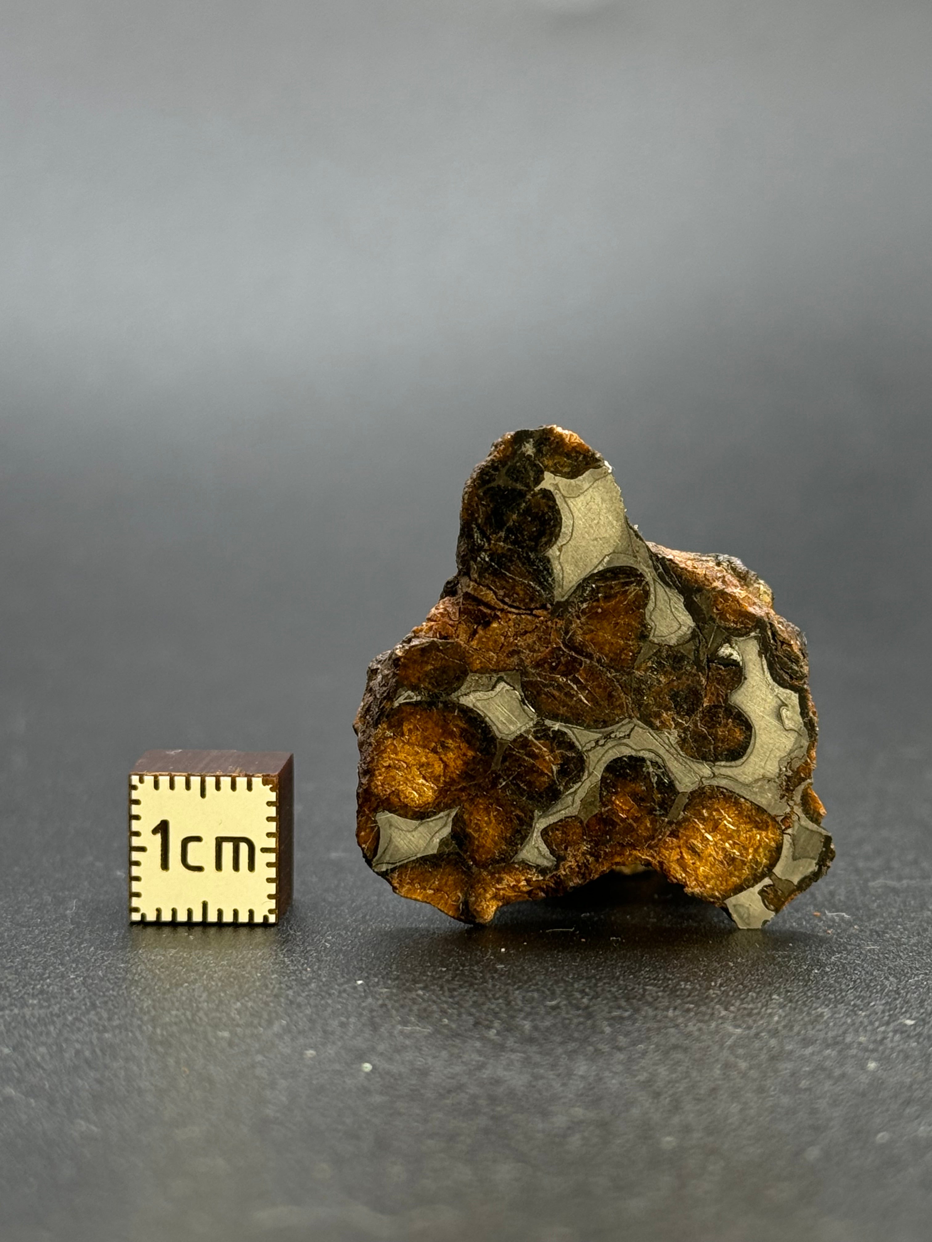 SERICHO PALLASITE METEORITE, KENYA. 17,15 GRAMS END-CUT
