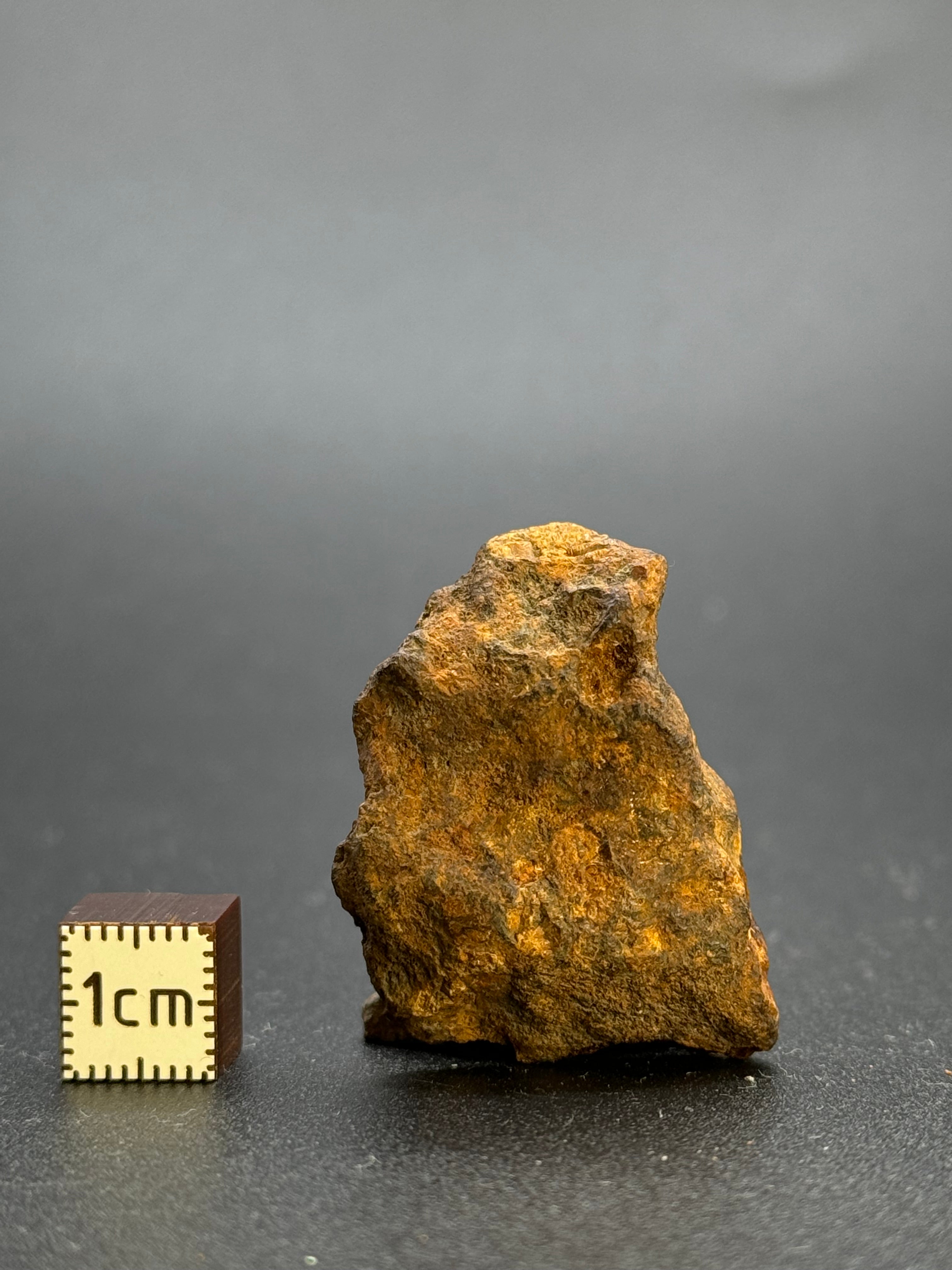 SERICHO PALLASITE METEORITE, KENYA. 19,78 GRAMS END-CUT