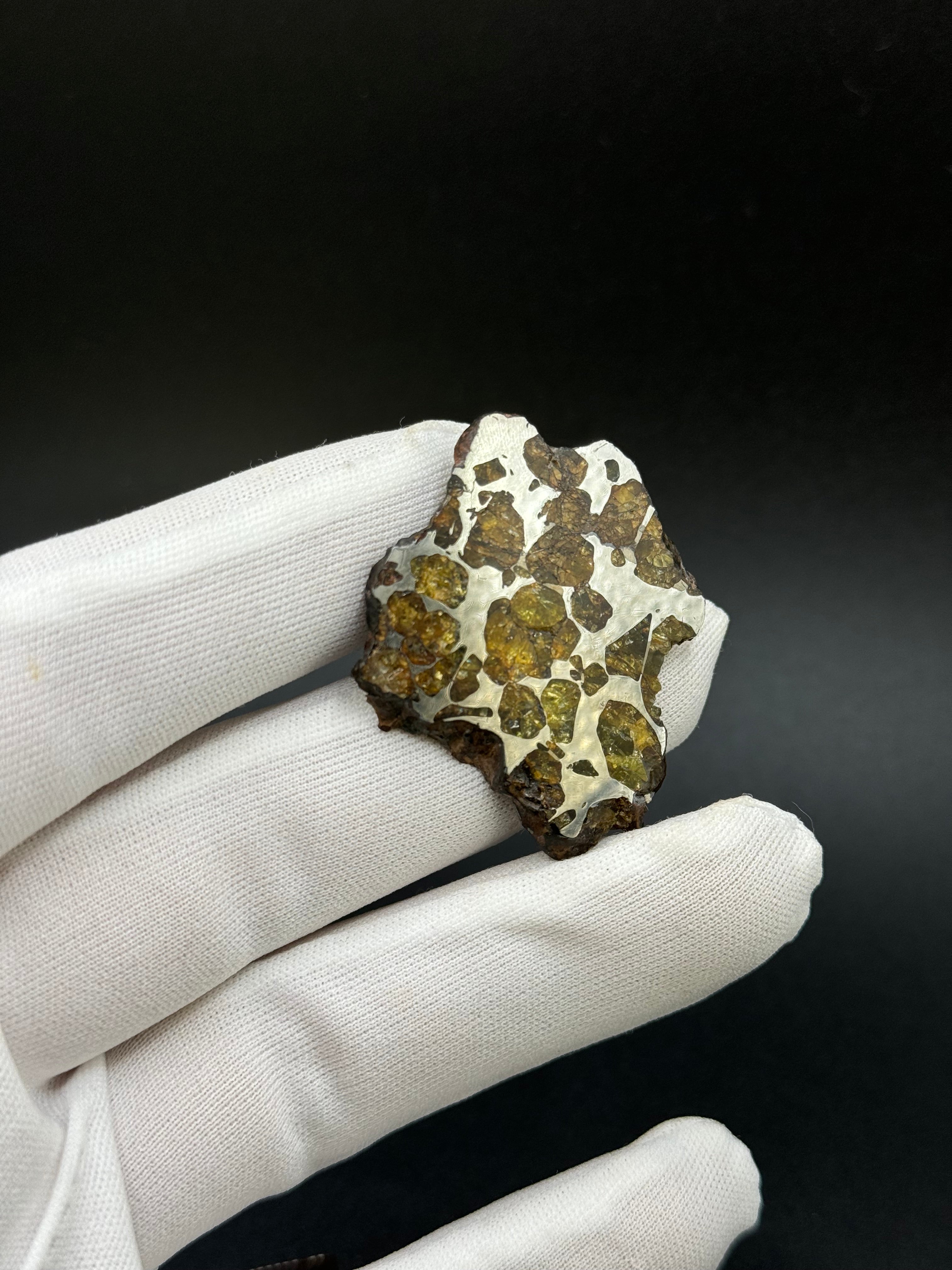 IMILAC PALLASITE METEORITE, CHILE. 15,06 GRAMS slice