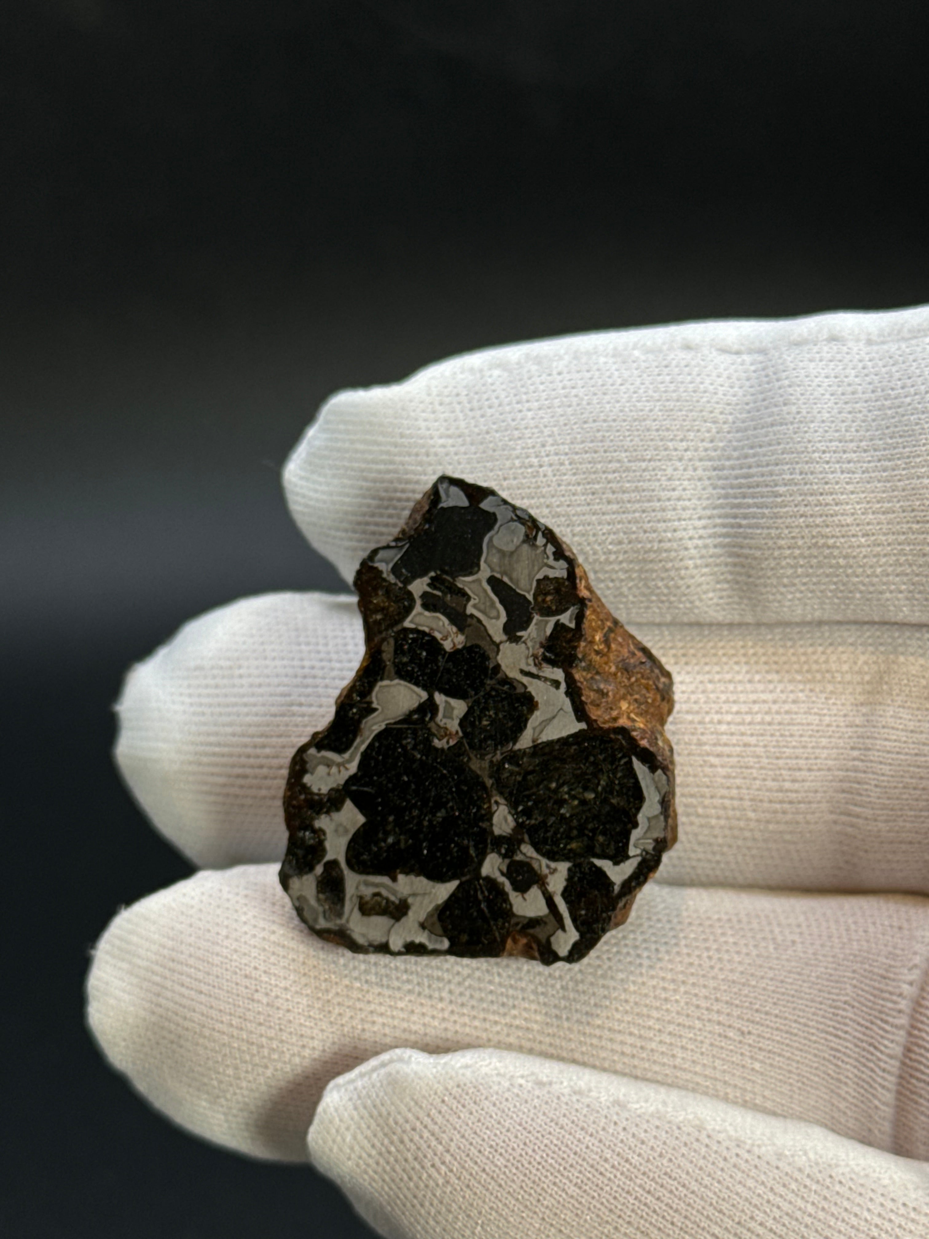 SERICHO PALLASITE METEORITE, KENYA. 21,79 GRAMS END-CUT