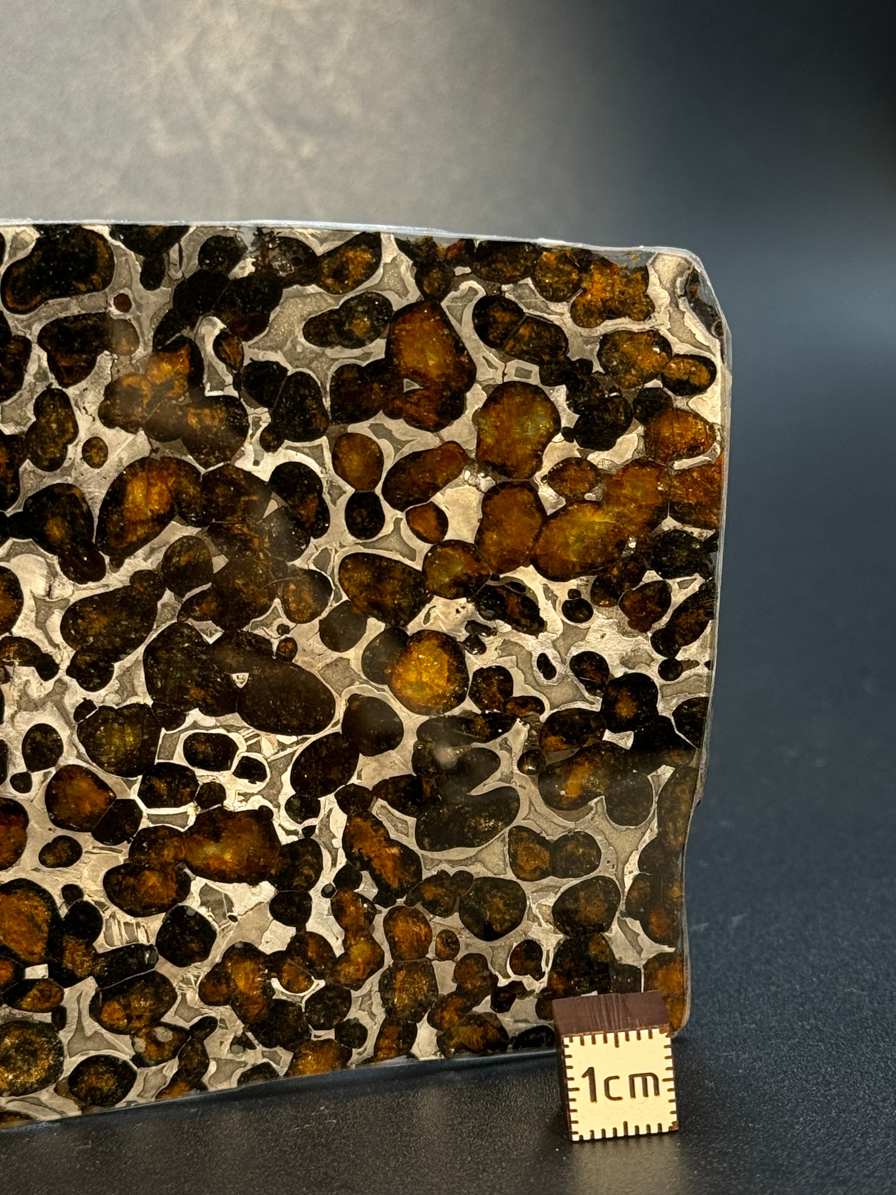 SERICHO METEORITE, KENYA. 58 GRAMS SLICE