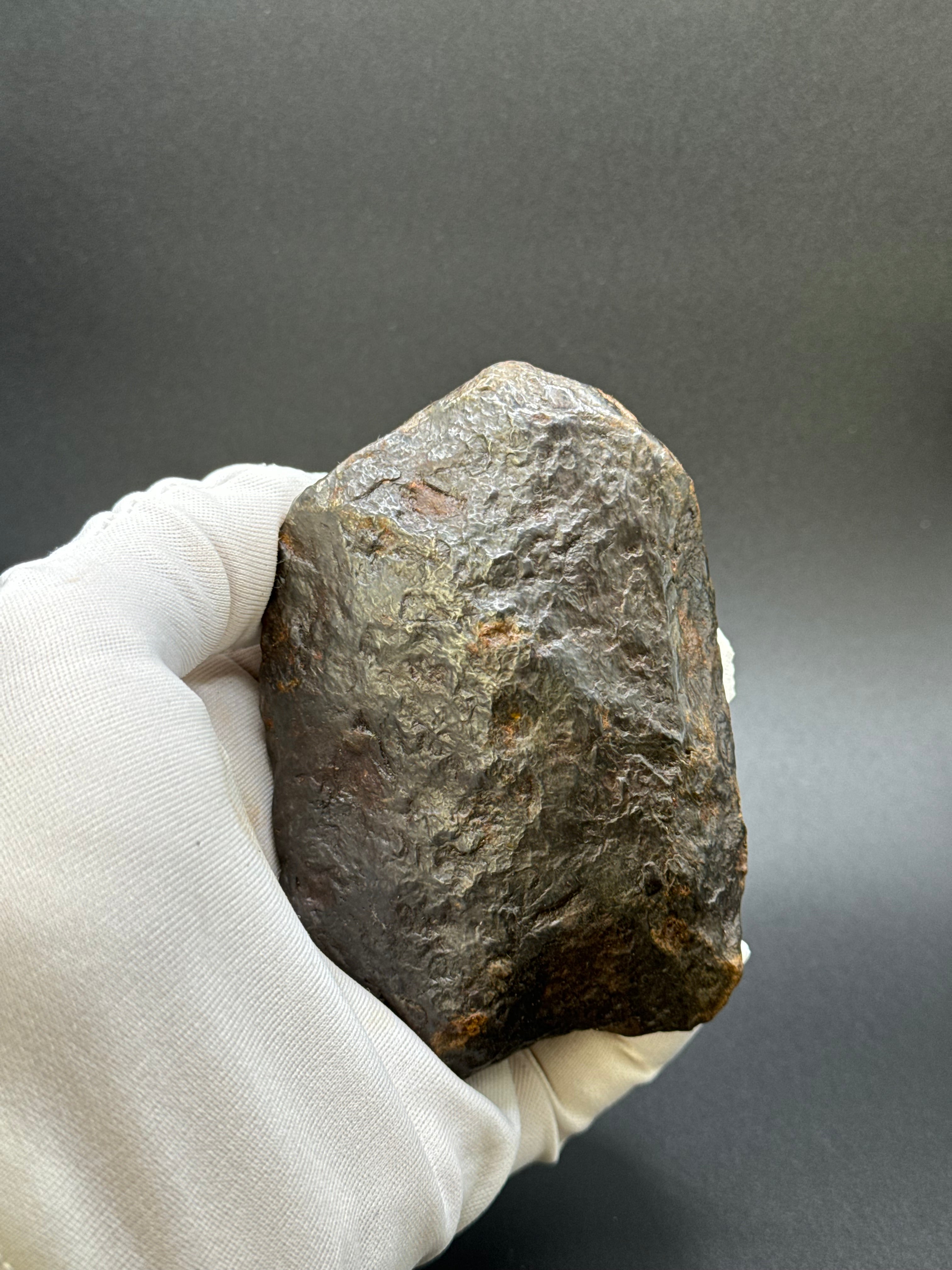 MUONIONALUSTA METEORITE, SWEDEN. FULL METEORITE 1104 GRAMS.