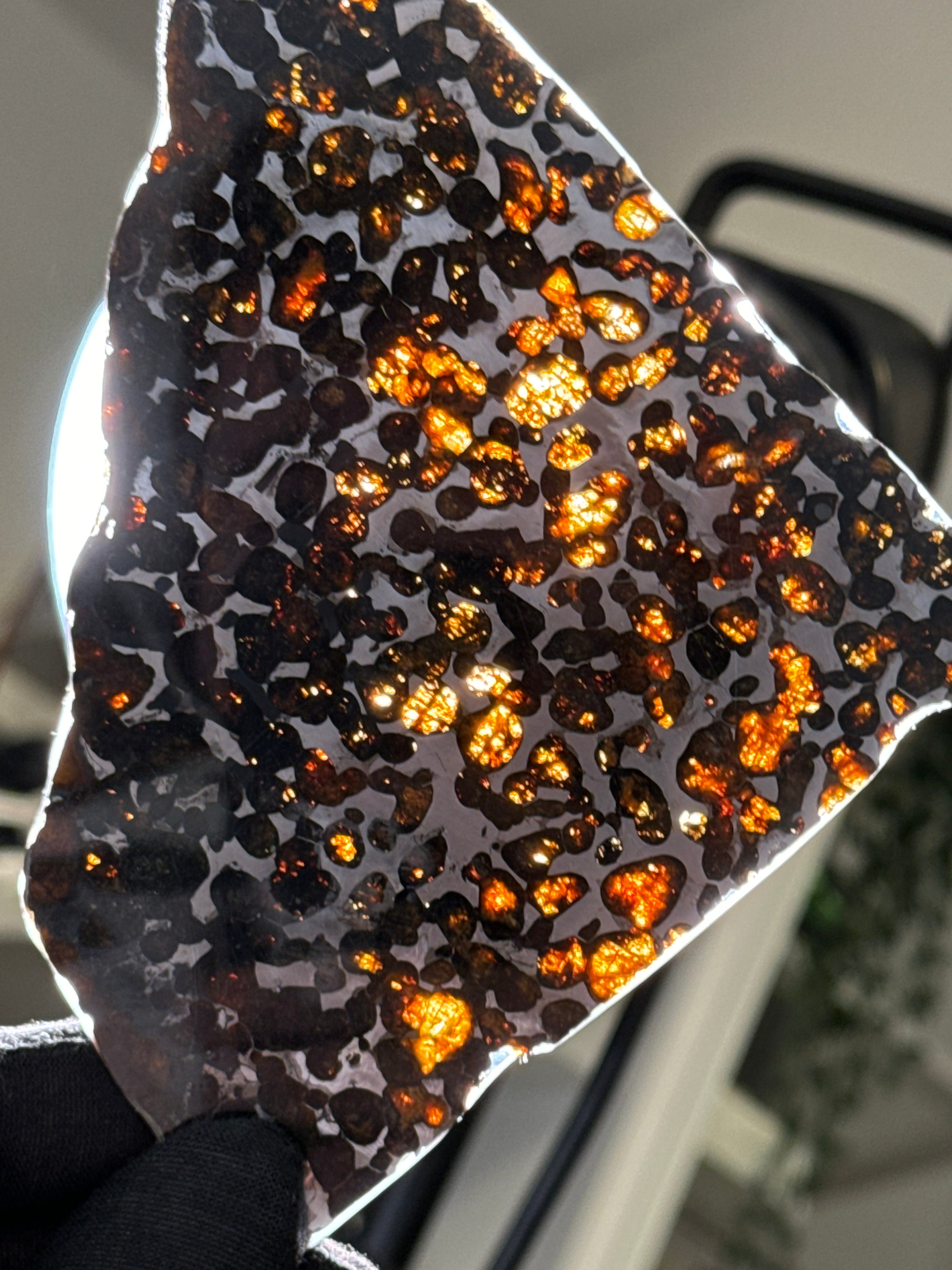 SERICHO METEORITE, KENYA. 73 GRAMS SLICE
