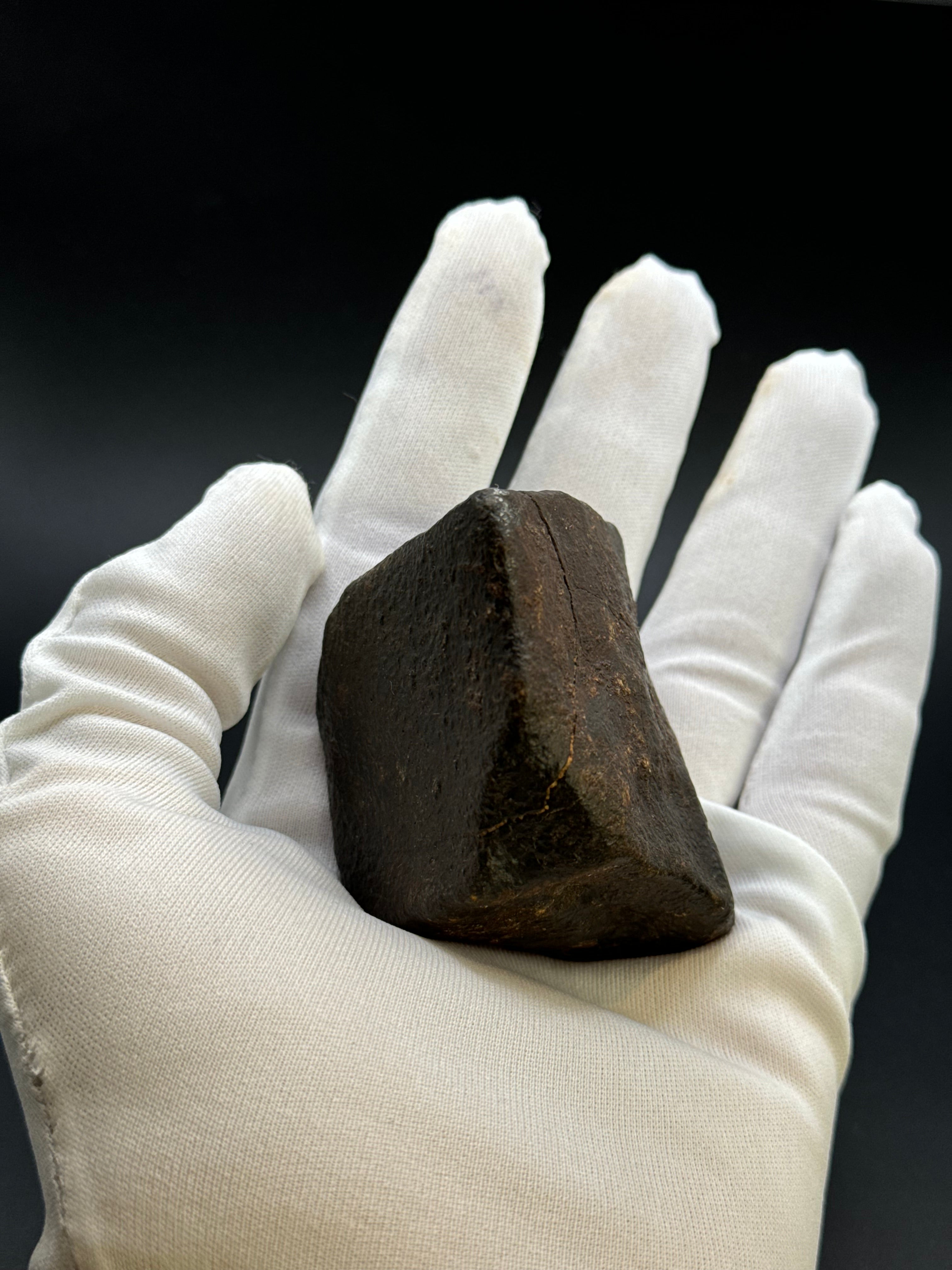 CHONDRITE METEORITE, NORTH WEST AFRICA. 263 GRAMS.