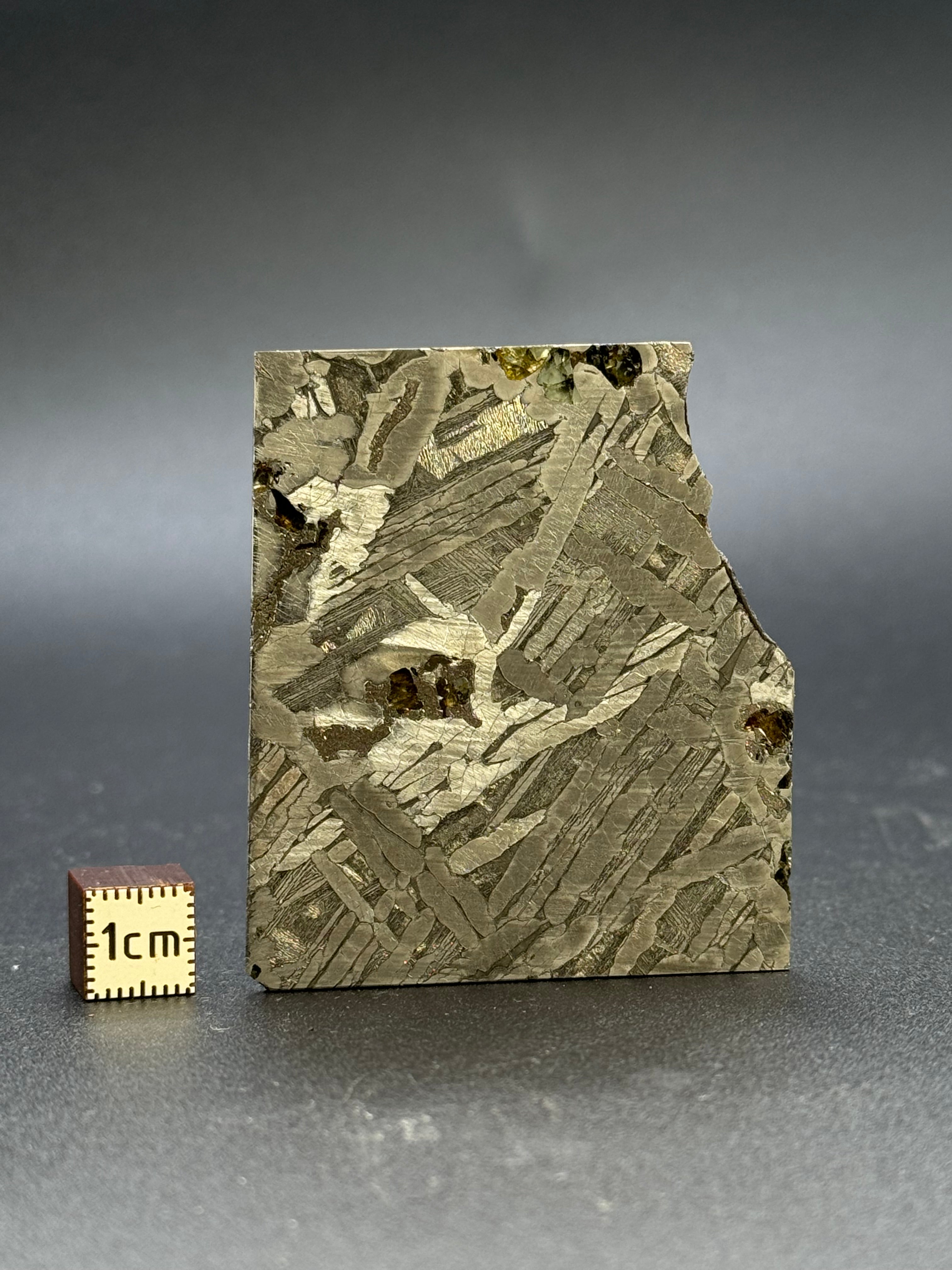 SEYMCHAN METEORITE, MAGADAN REGION, RUSSIA. 33,3 GRAMS.