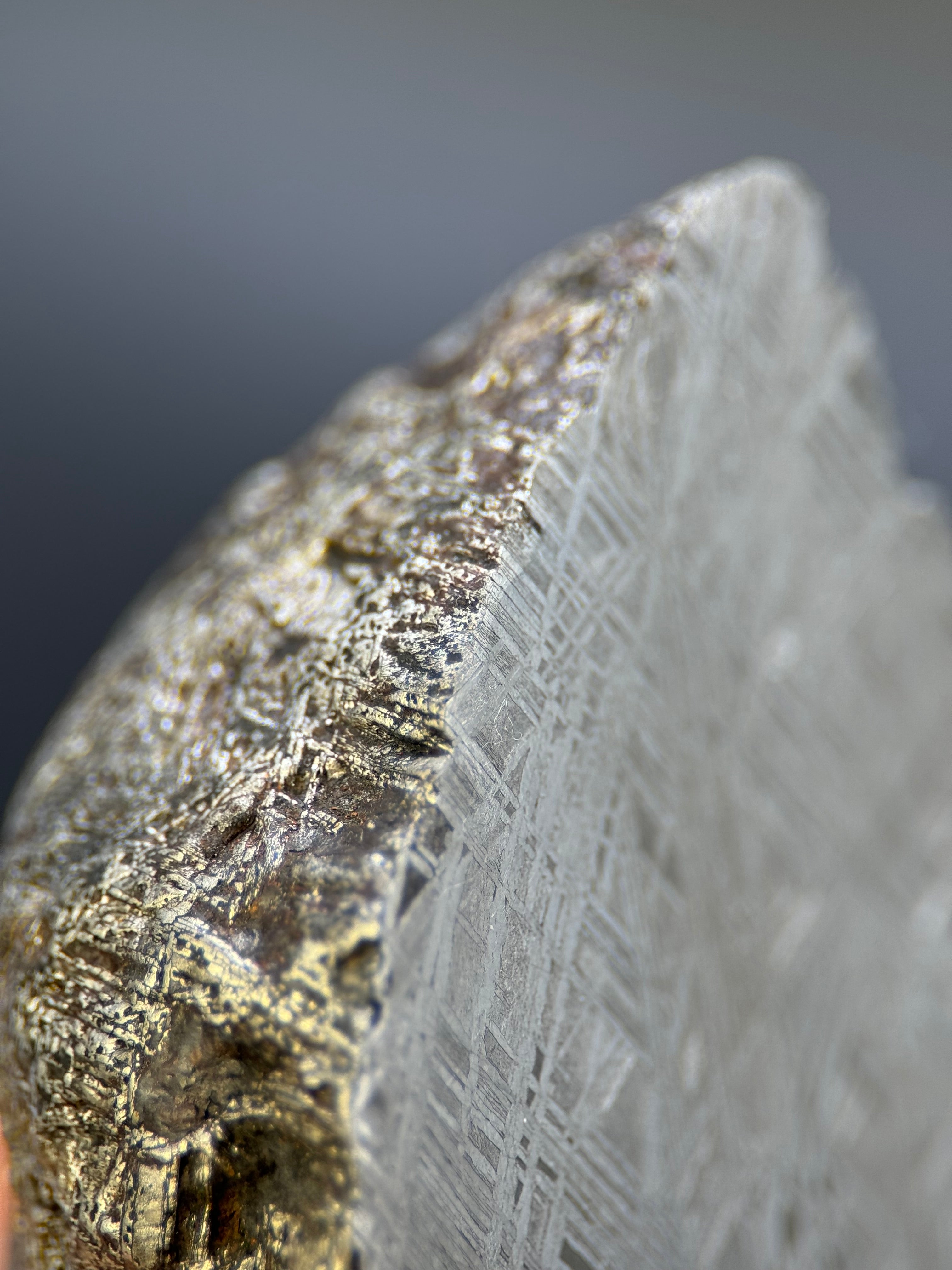 MUONIONALUSTA METEORITE, SWEDEN. 242 GRAMS END-CUT.