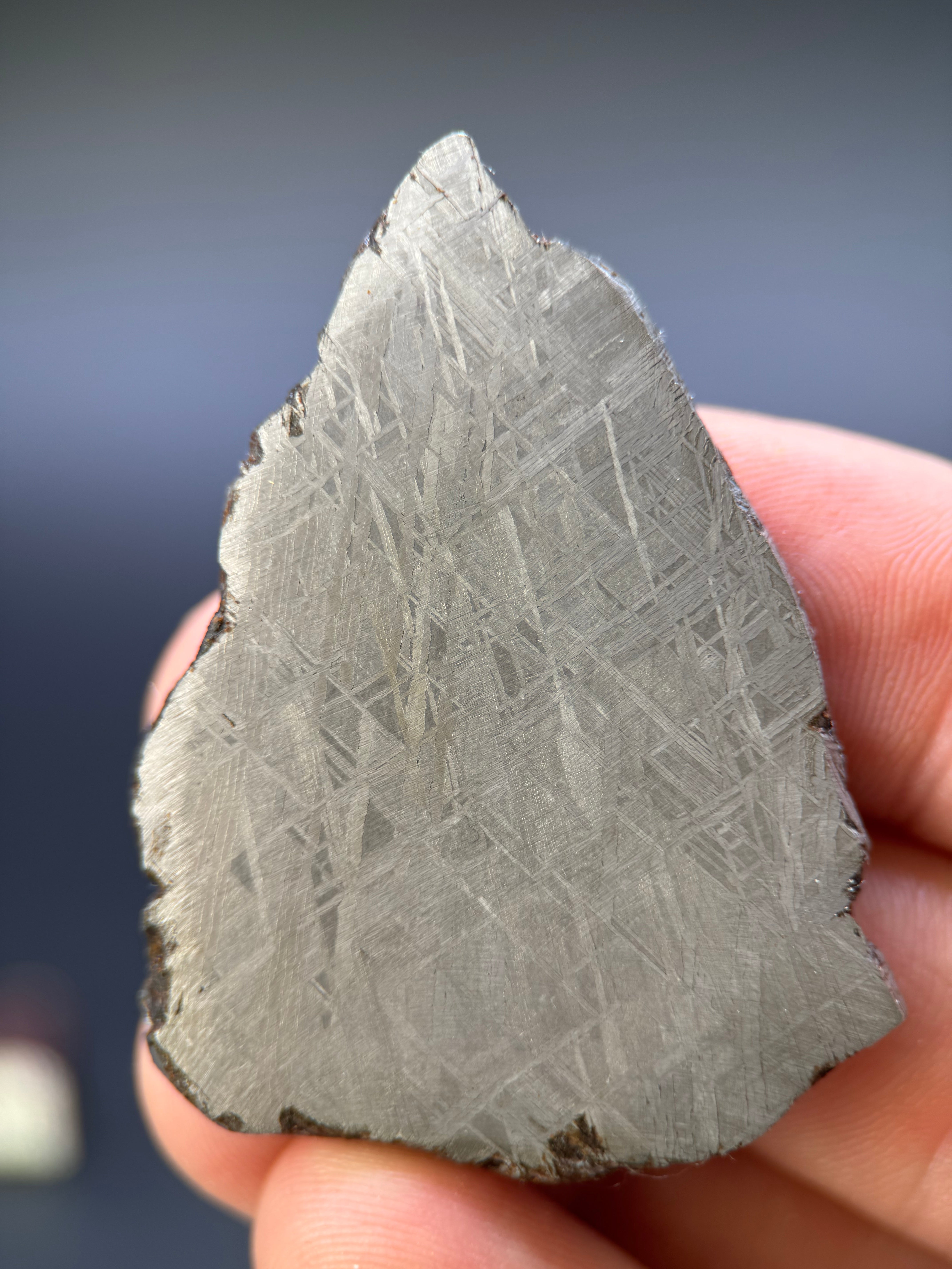 MUONIONALUSTA METEORITE, SWEDEN. 35,88 GRAMS.