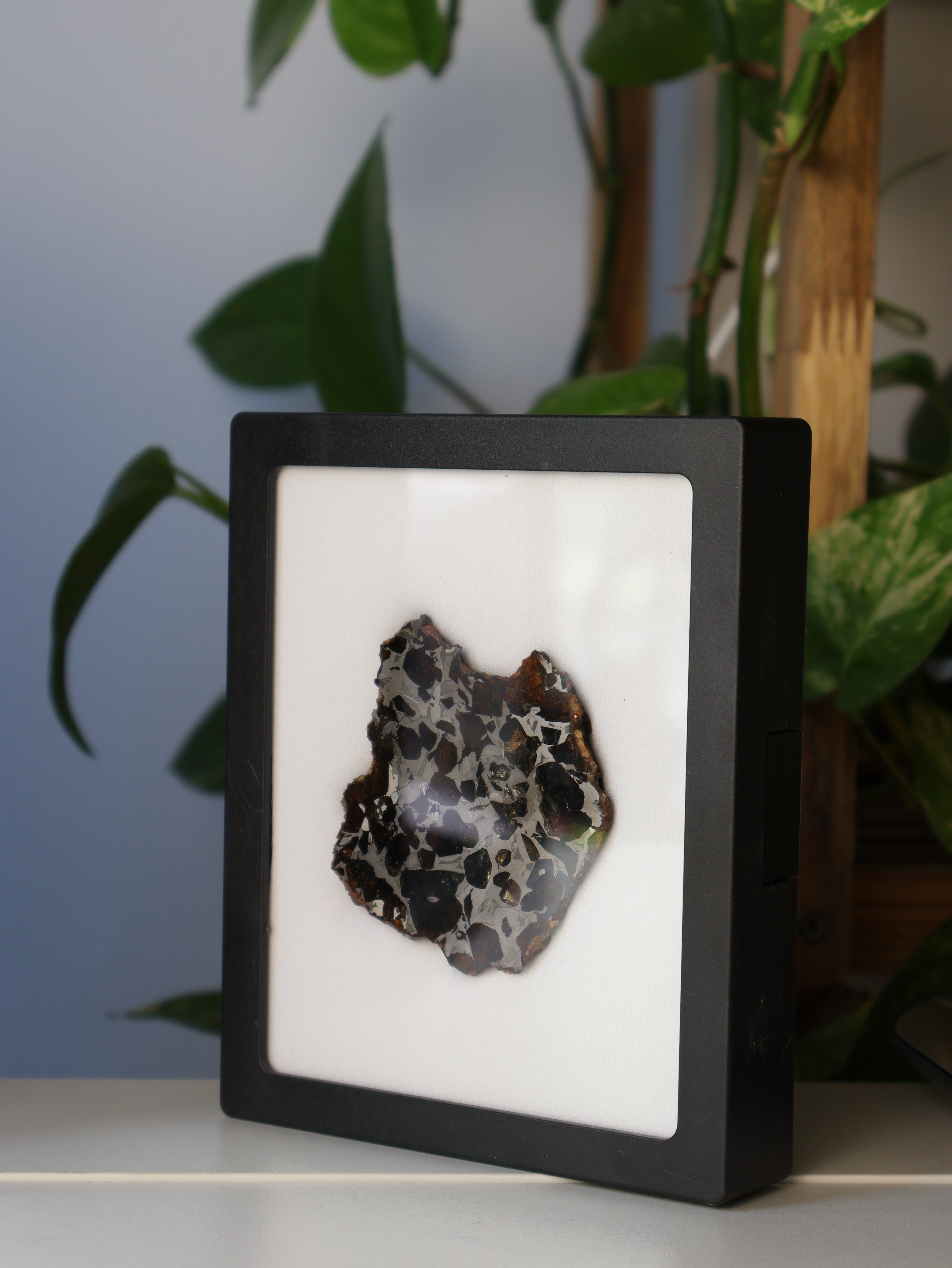 SEYMCHAN METEORITE, MAGADAN REGION, RUSSIA. 96 GRAMS END-CUT.