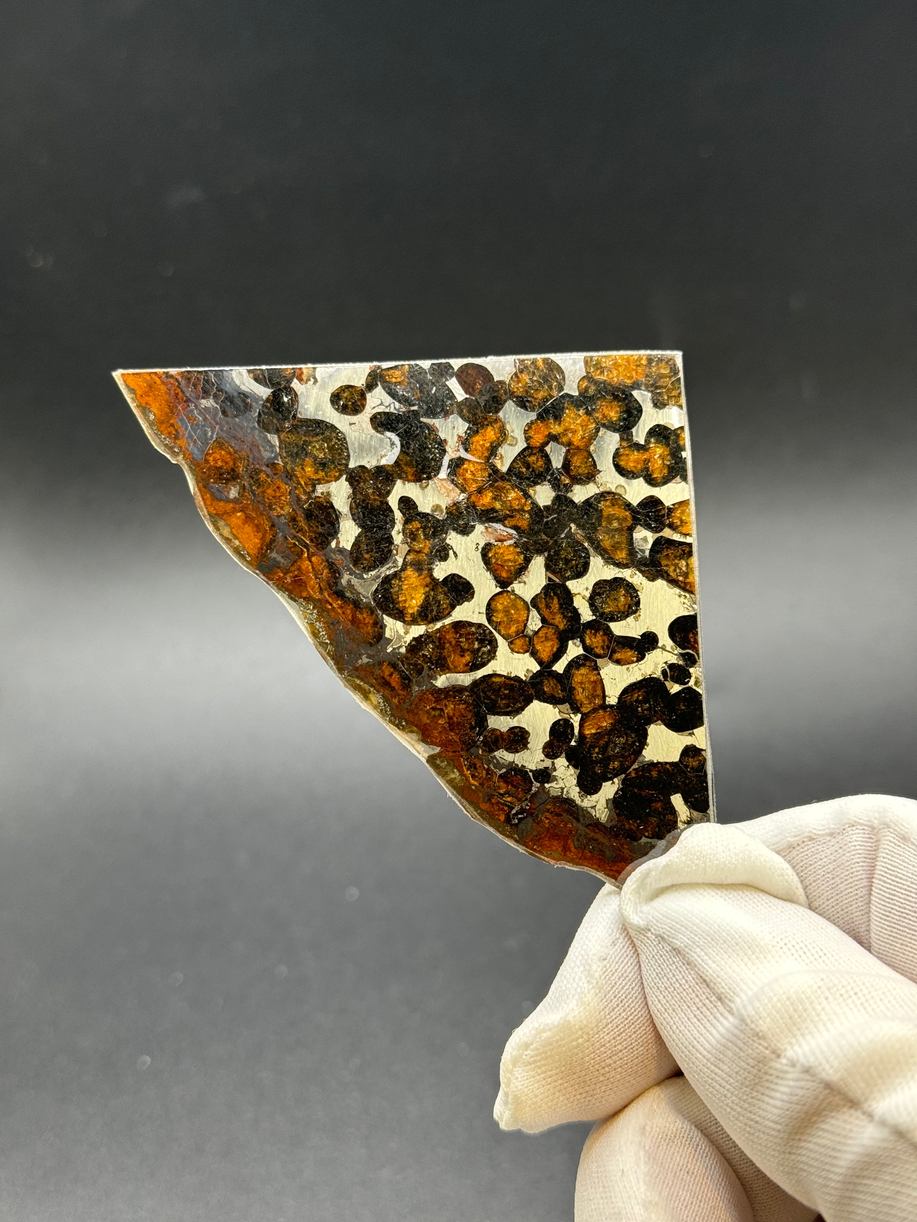 SERICHO METEORITE, KENYA. 16,3 GRAMS.